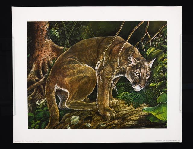 W.D. Gaither Signed/Unsigned Prints