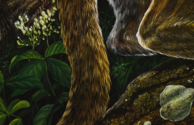 W.D. Gaither Signed/Unsigned Prints