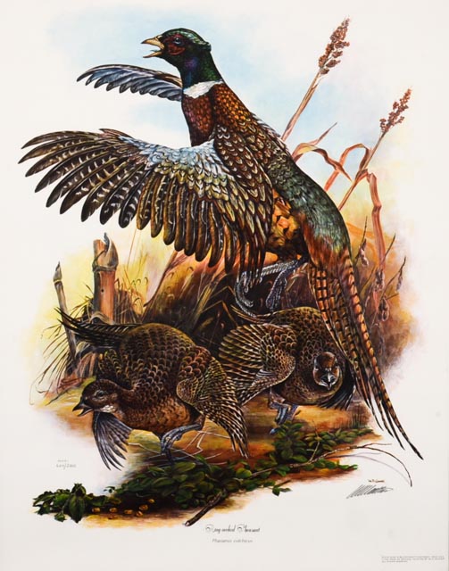 W.D. Gaither Signed/Unsigned Prints