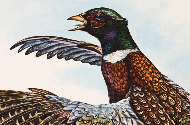 W.D. Gaither Signed/Unsigned Prints