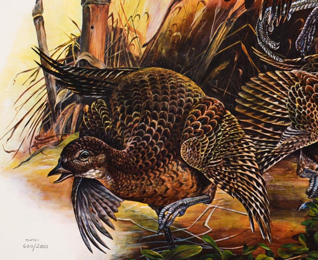 W.D. Gaither Signed/Unsigned Prints