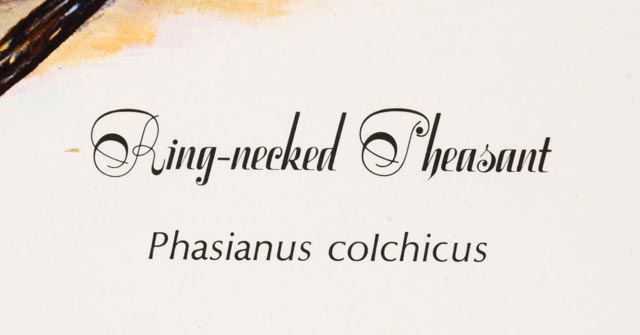 W.D. Gaither Signed/Unsigned Prints