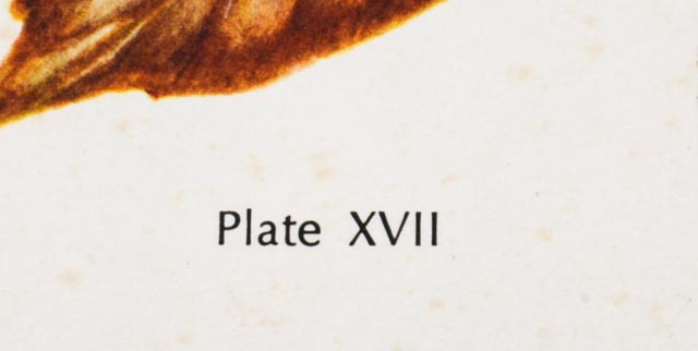 W.D. Gaither Signed/Unsigned Prints