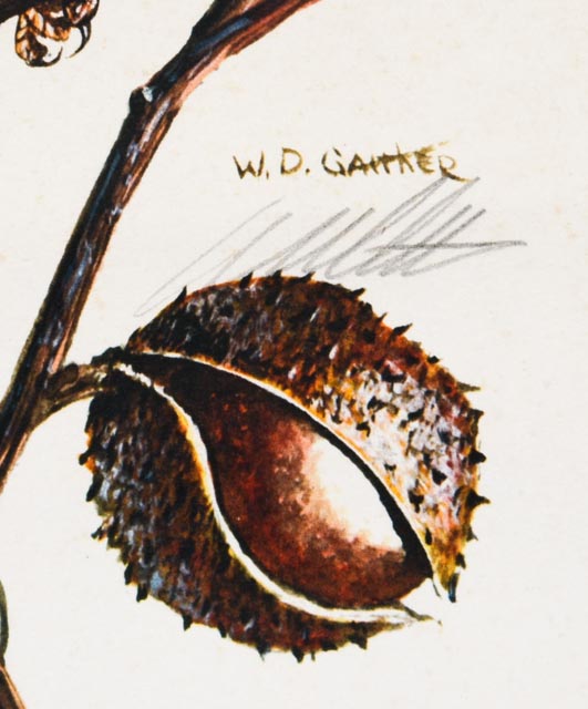 W.D. Gaither Signed/Unsigned Prints