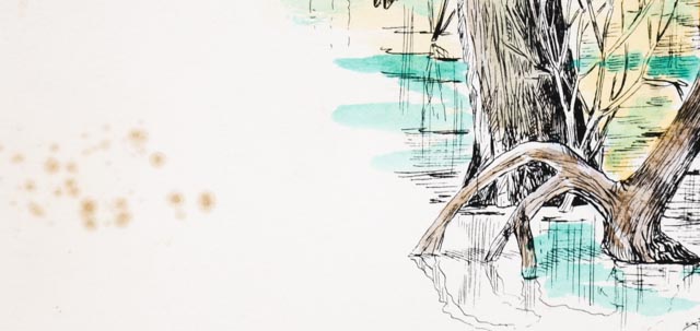 W.D. Gaither Signed/Unsigned Prints