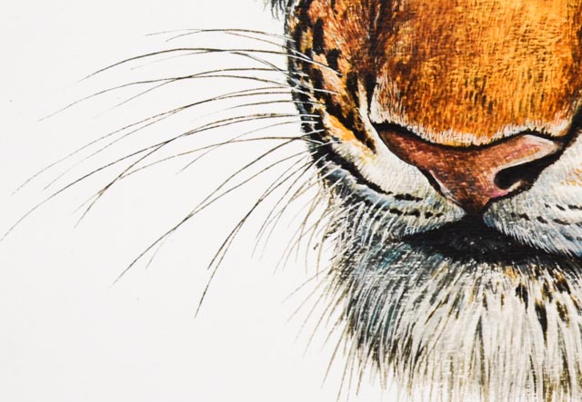 W.D. Gaither Signed/Unsigned Prints