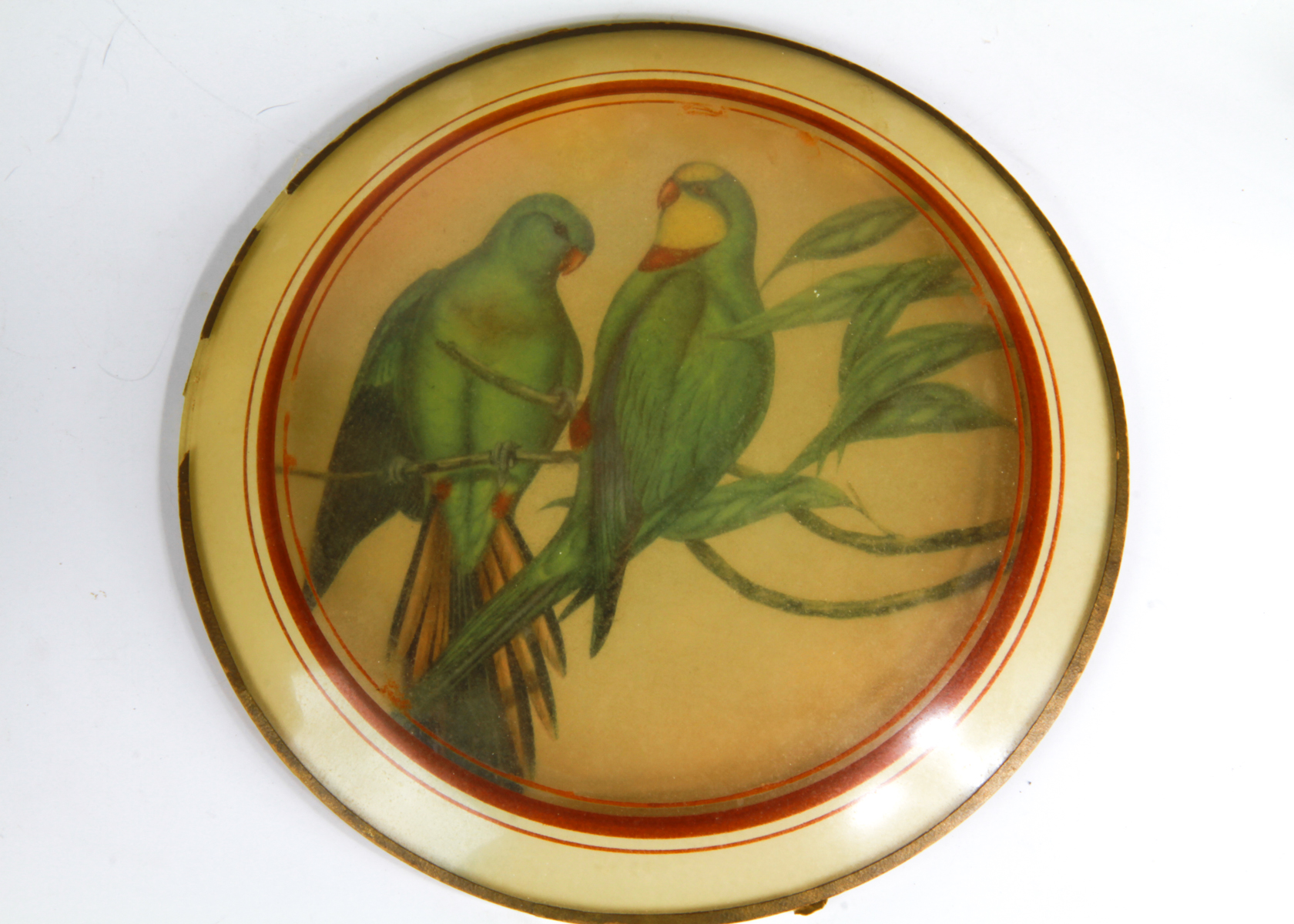 Eclectic Collection of Tropical Bird Decor