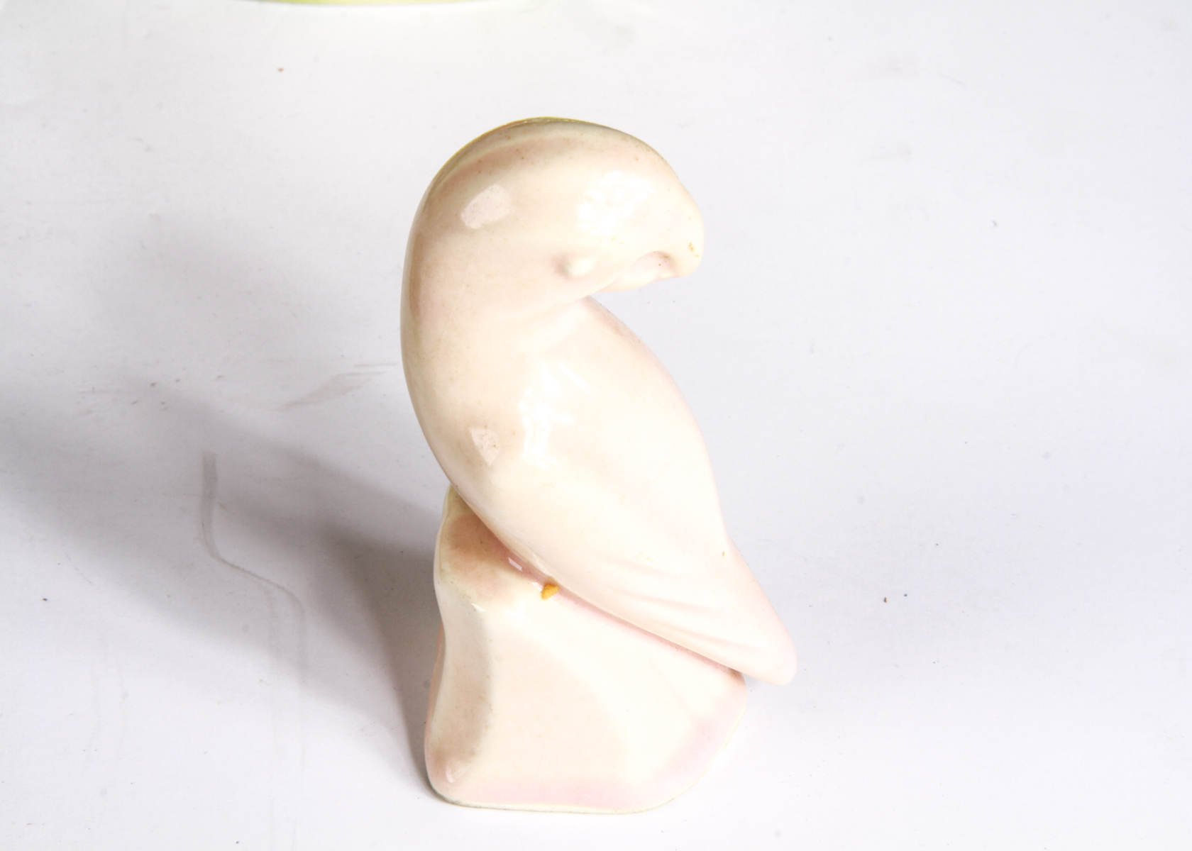 Eclectic Collection of Tropical Bird Decor