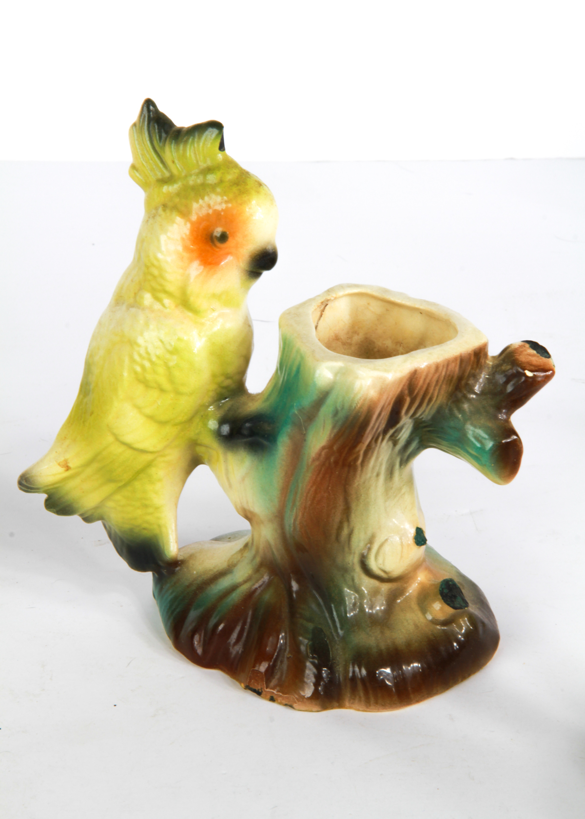 Eclectic Collection of Tropical Bird Decor