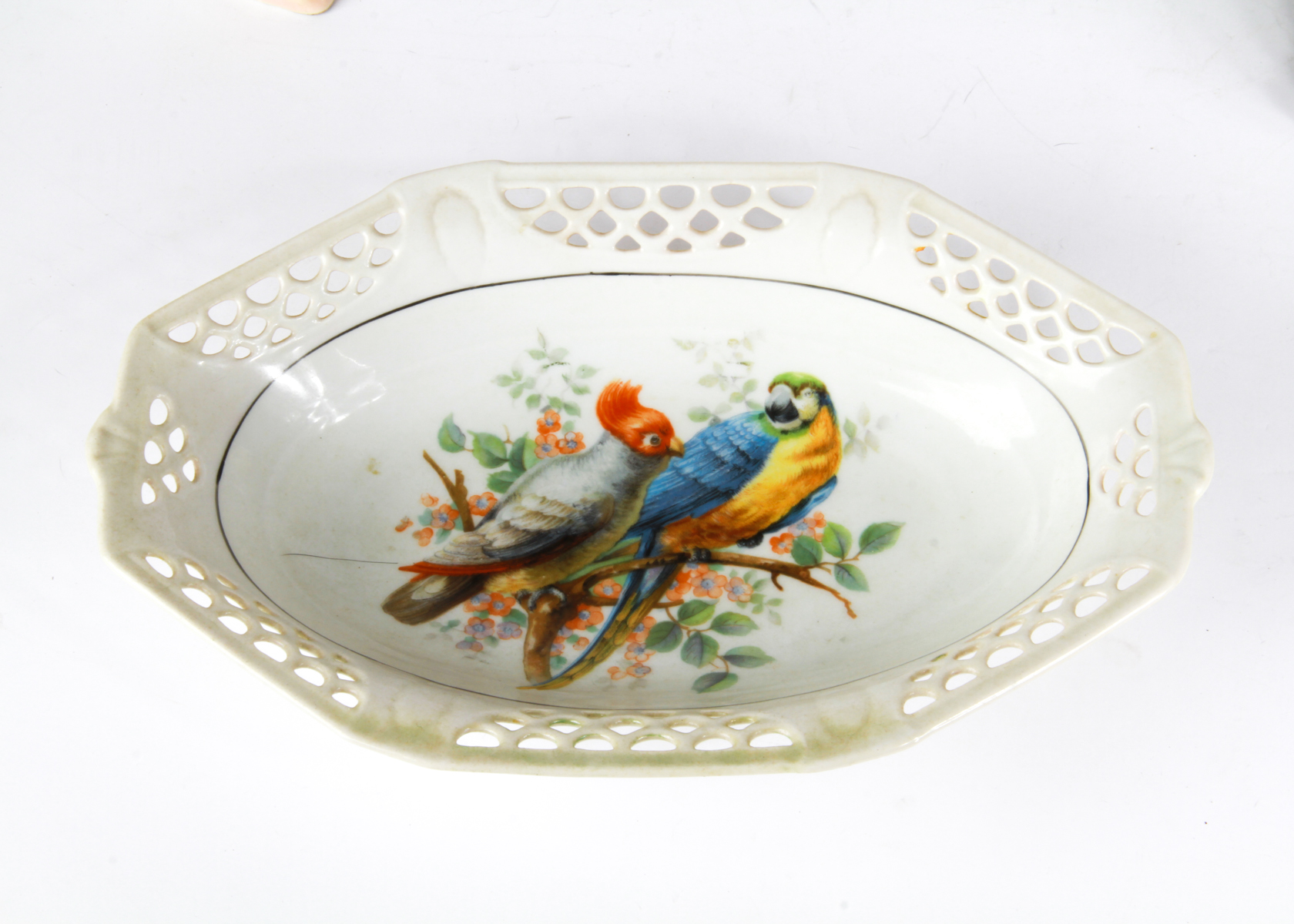 Eclectic Collection of Tropical Bird Decor