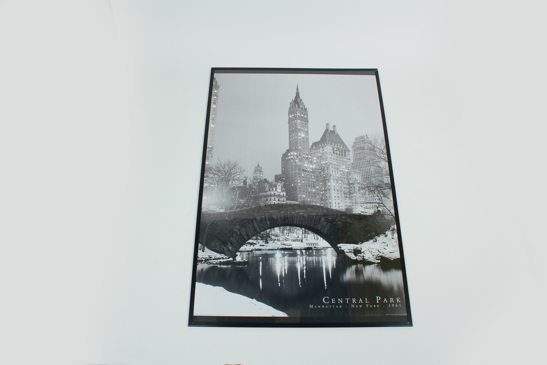Framed Black and White Central Park Print