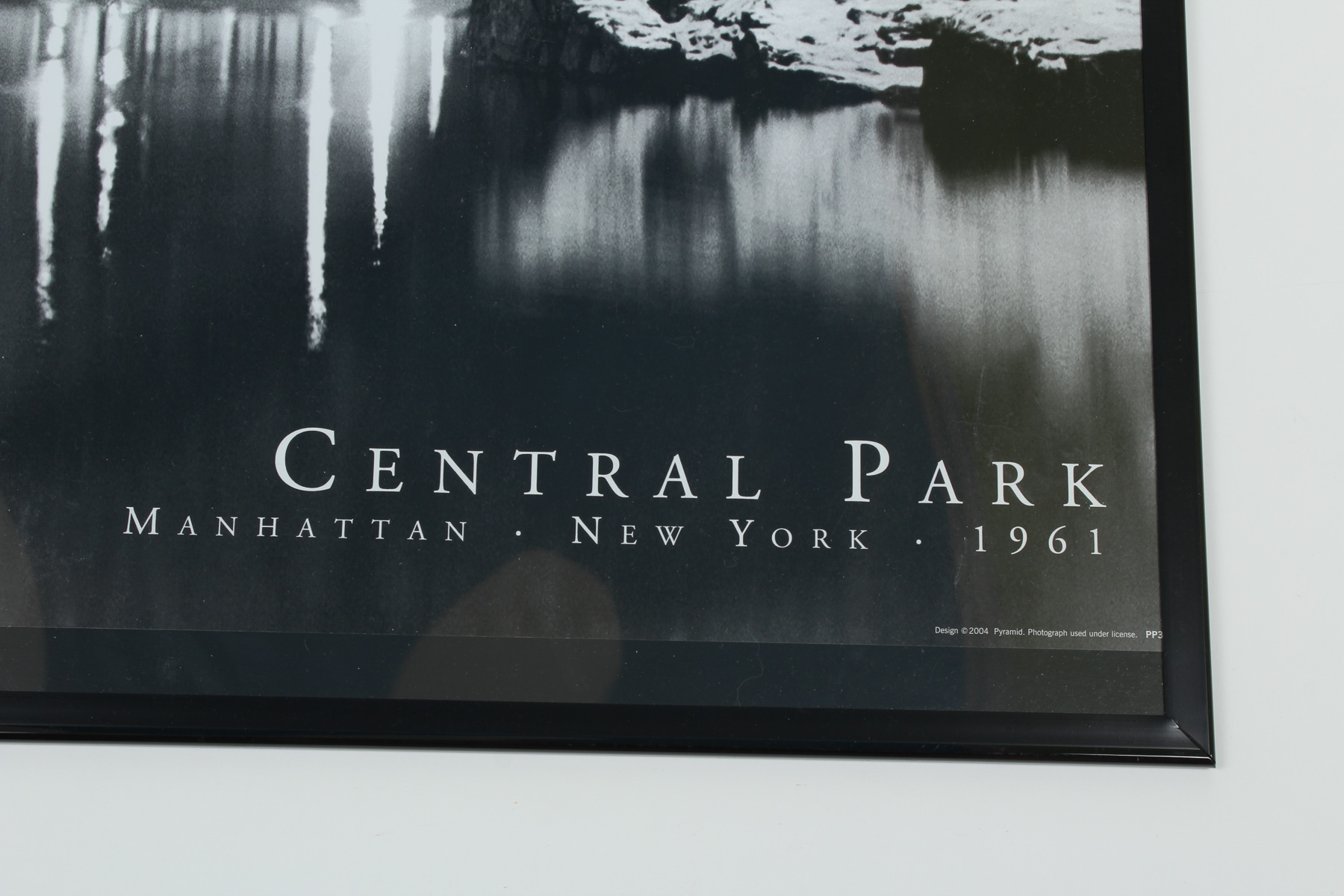 Framed Black and White Central Park Print