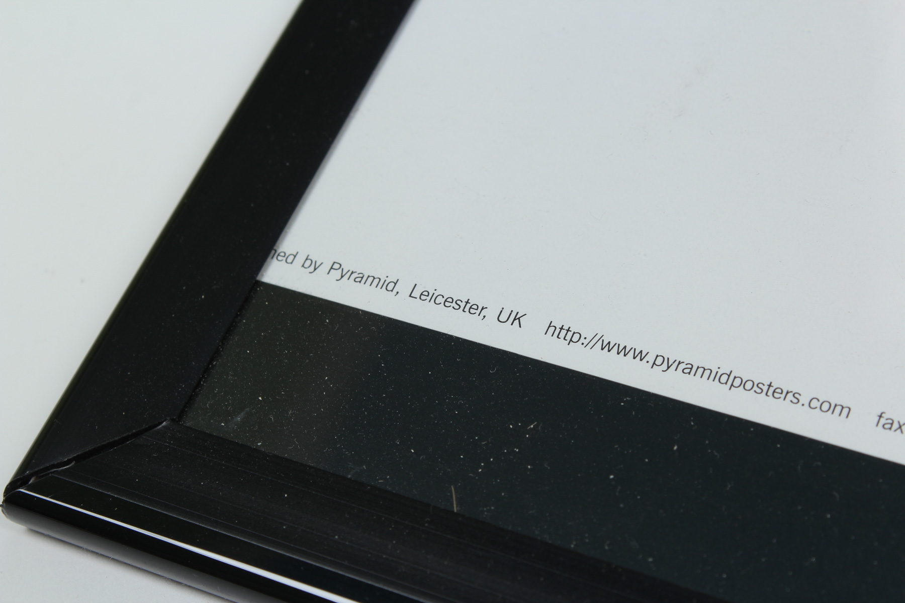 Framed Black and White Central Park Print