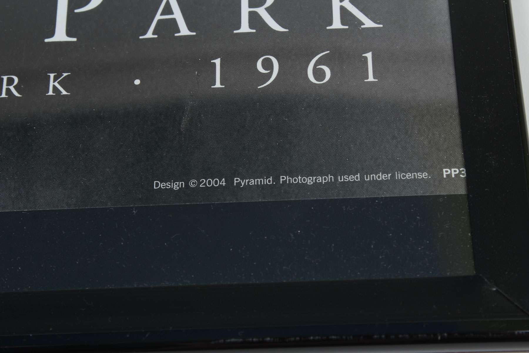 Framed Black and White Central Park Print