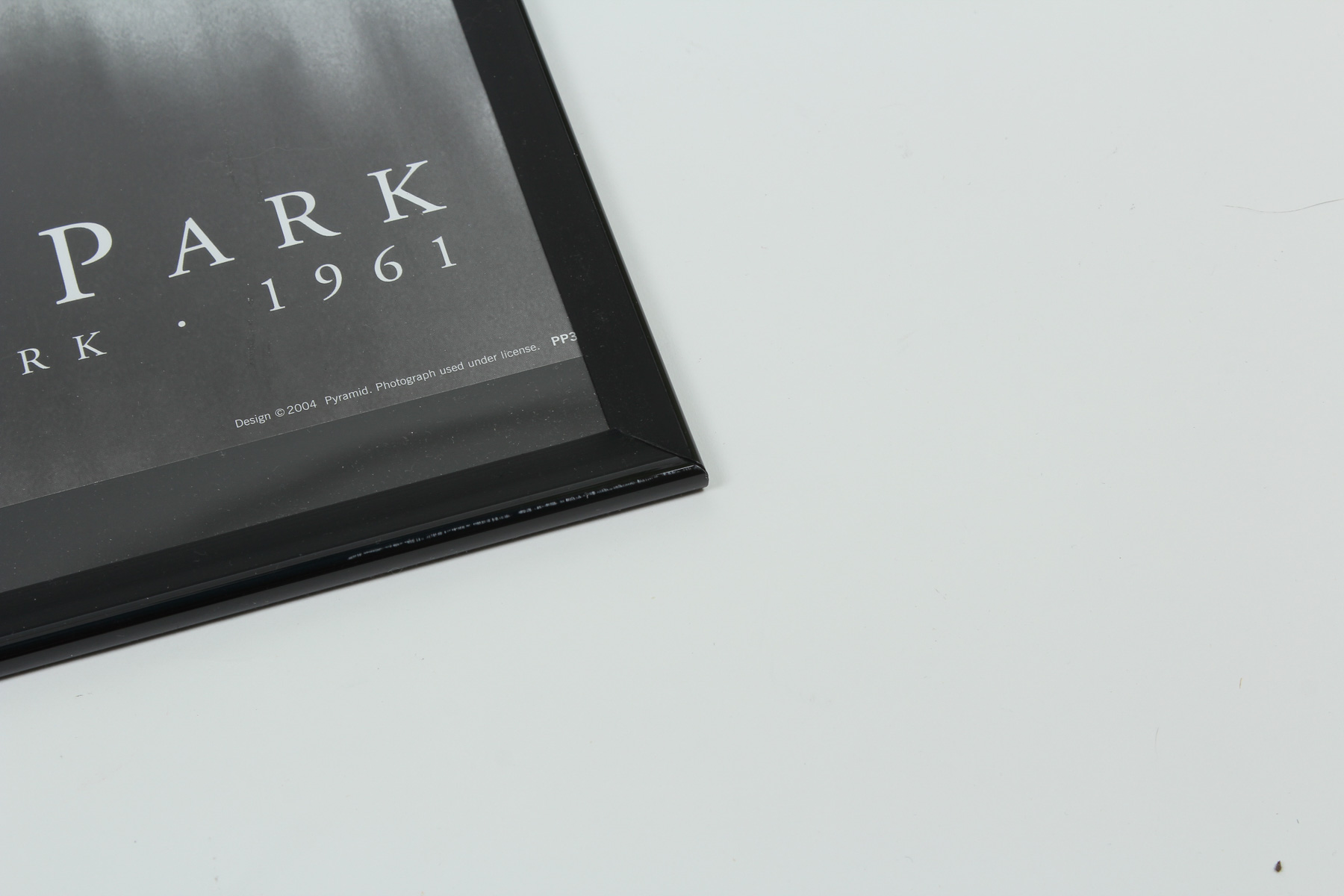 Framed Black and White Central Park Print