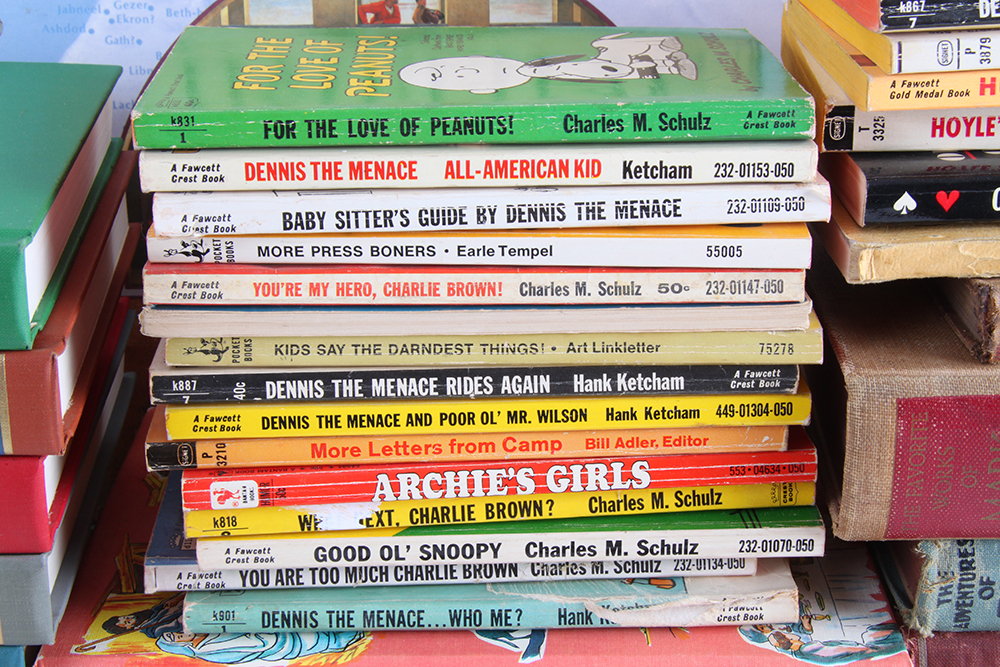Collection of Books for Young Readers