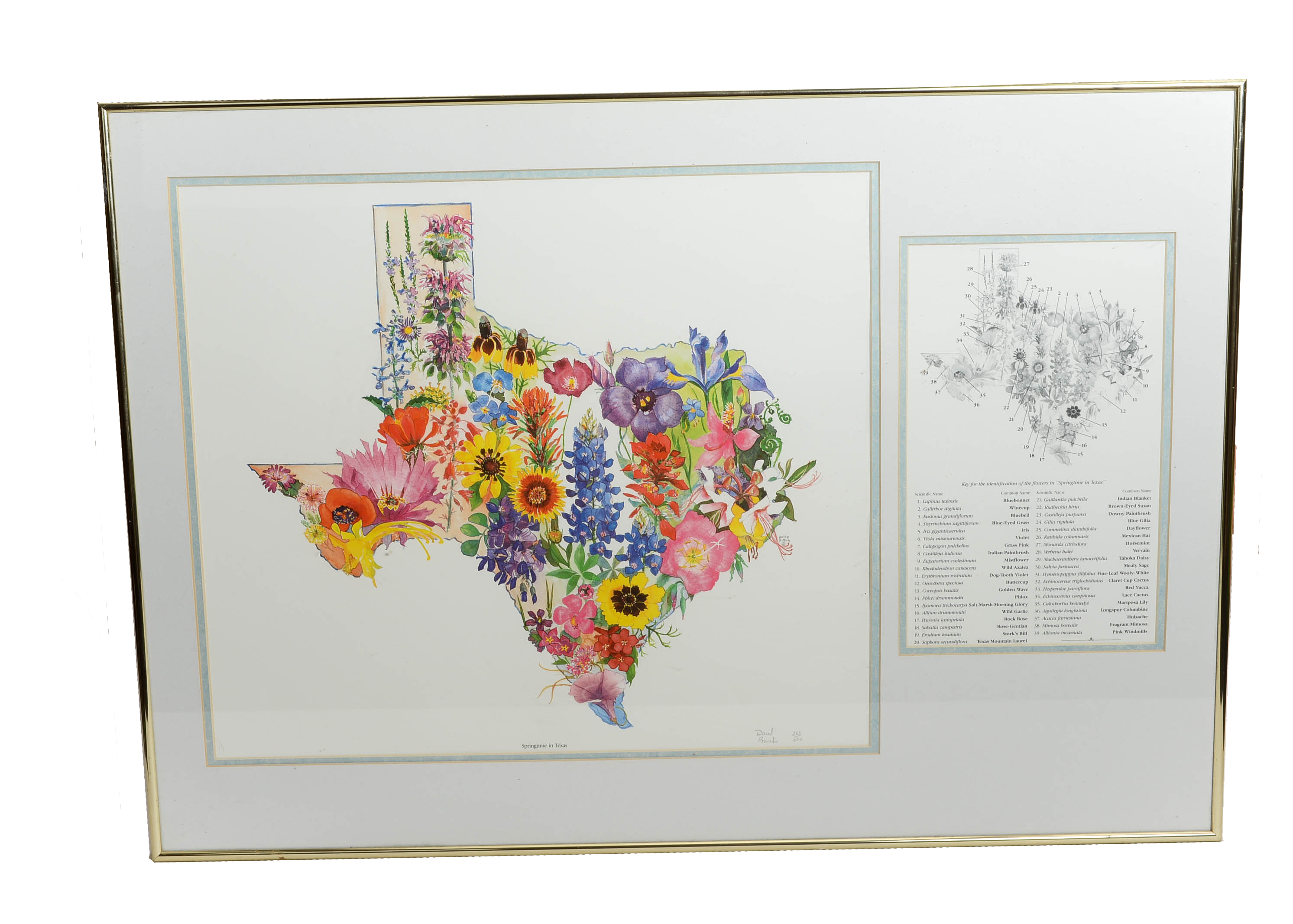 Springtime in Texas Print by David Busch