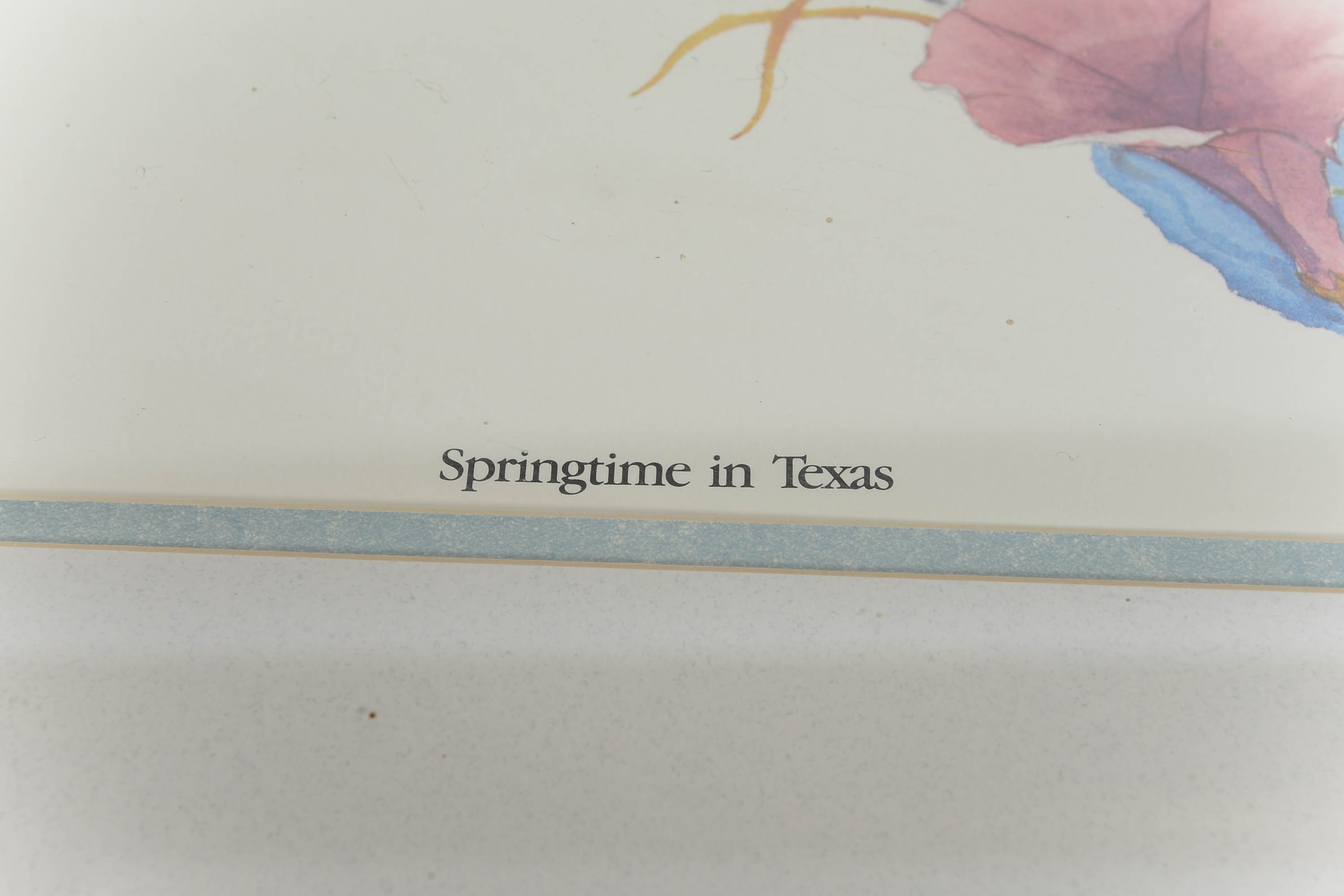 Springtime in Texas Print by David Busch