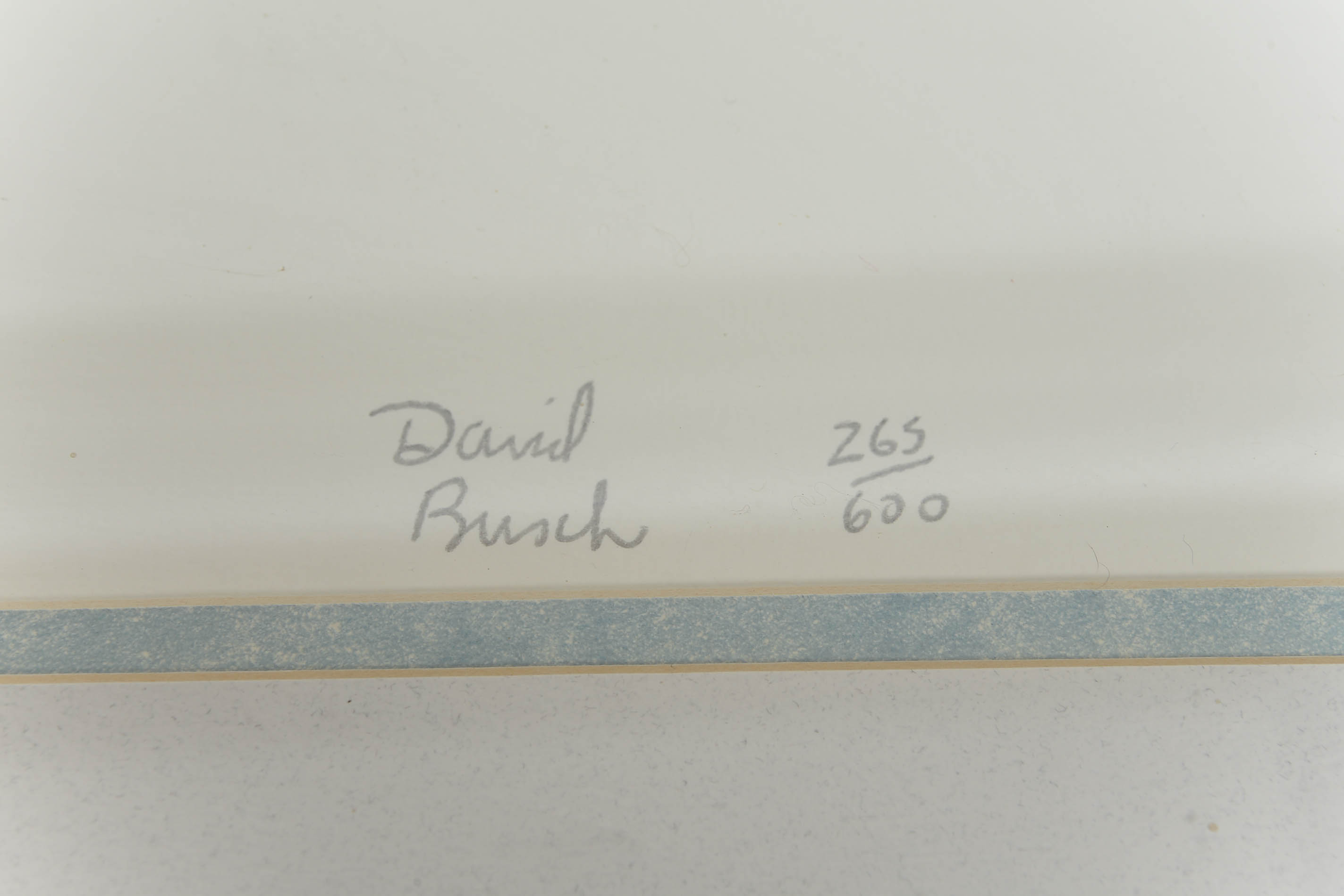 Springtime in Texas Print by David Busch