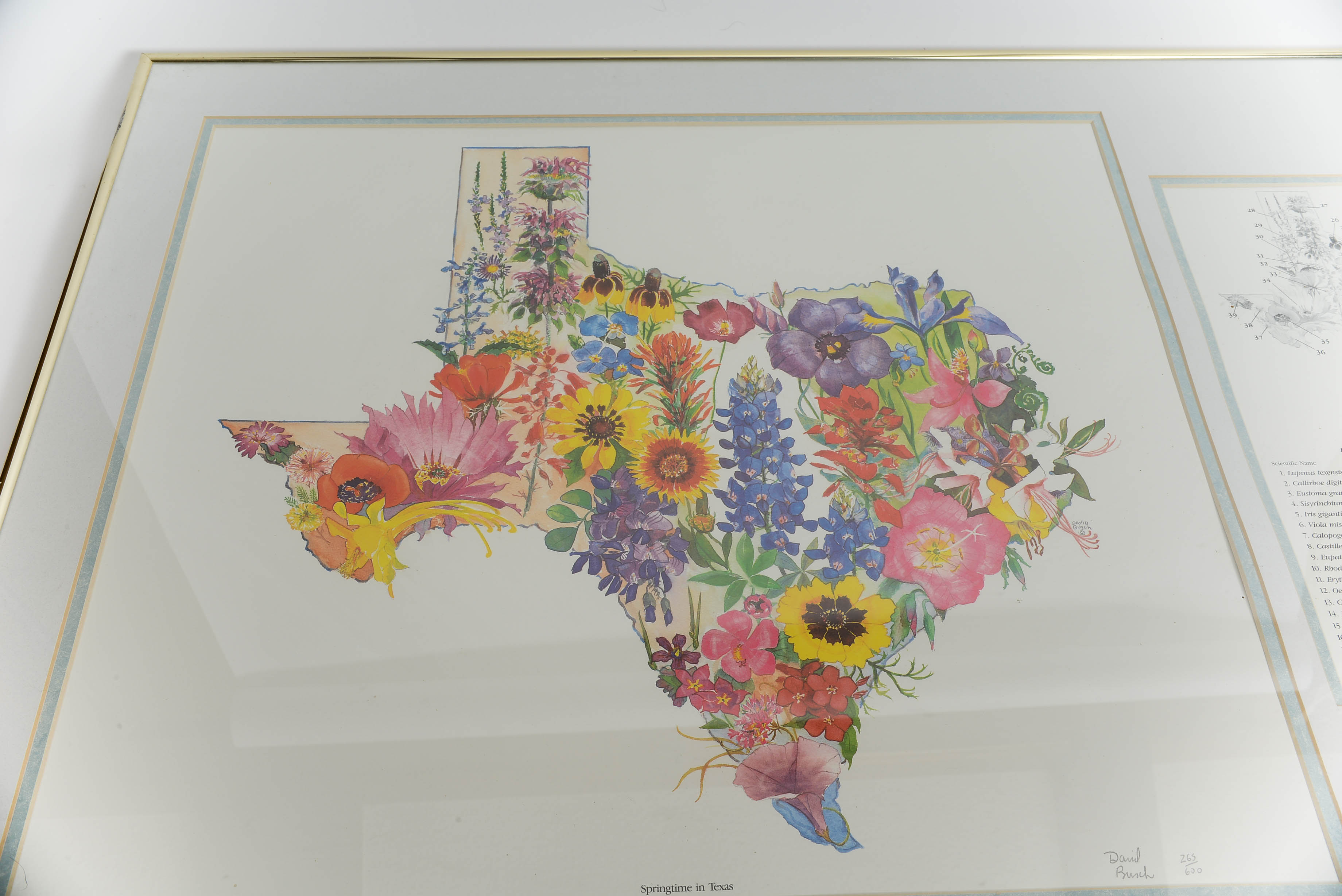 Springtime in Texas Print by David Busch