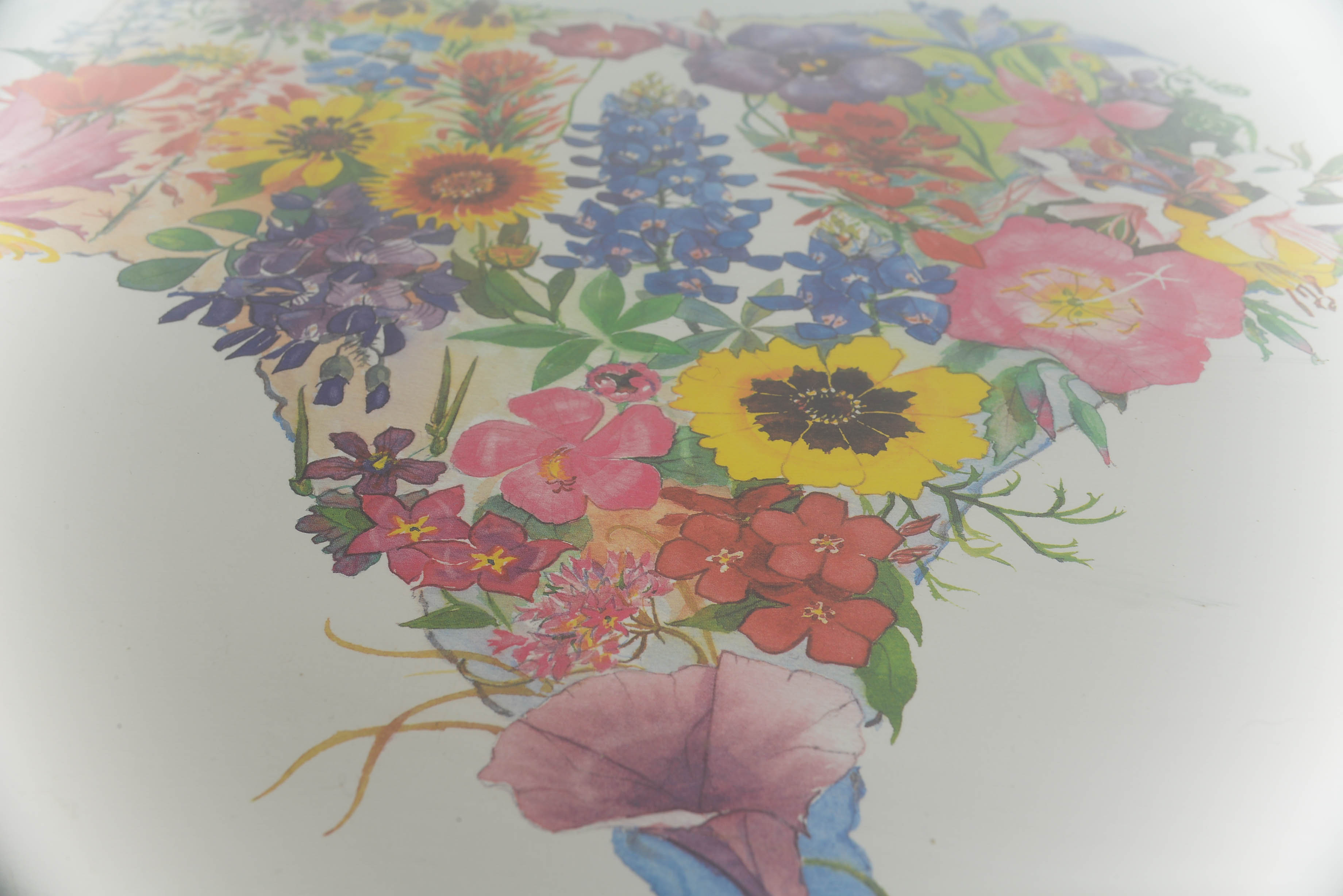 Springtime in Texas Print by David Busch