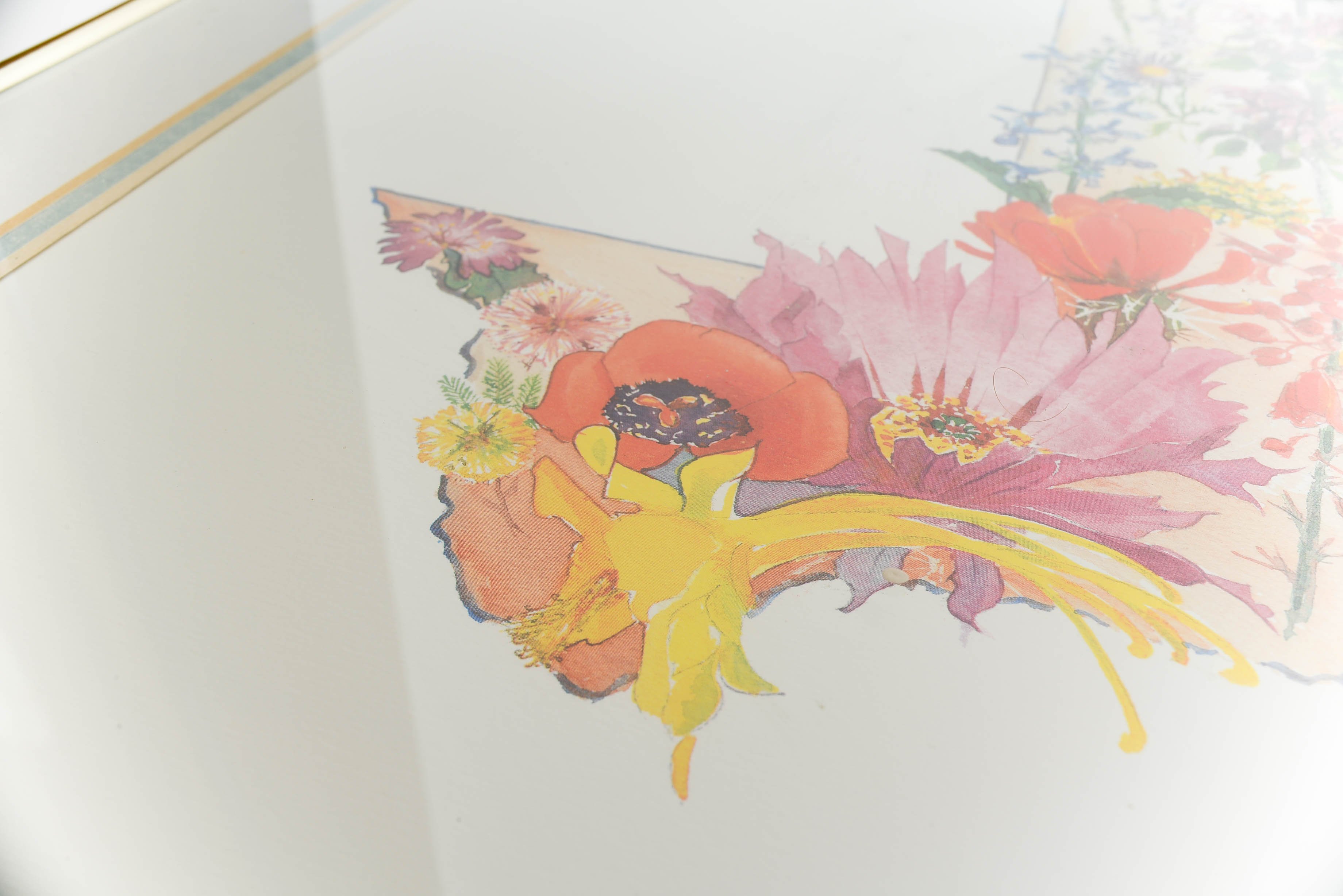 Springtime in Texas Print by David Busch