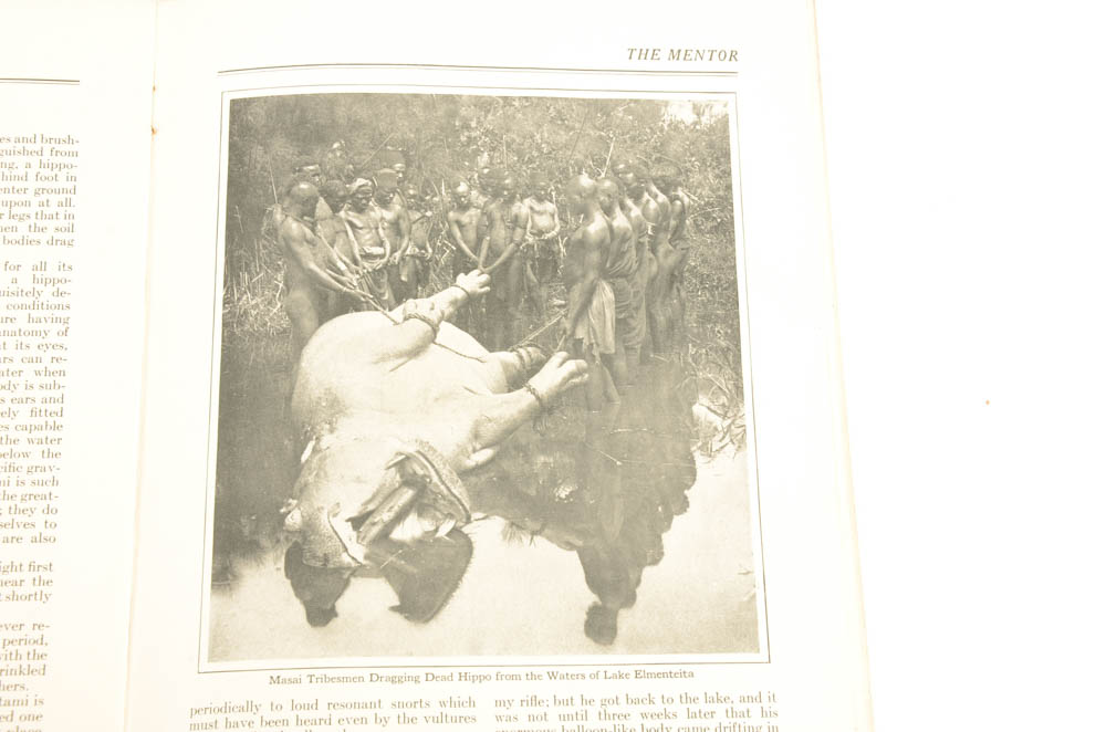 Collection of Vintage Books