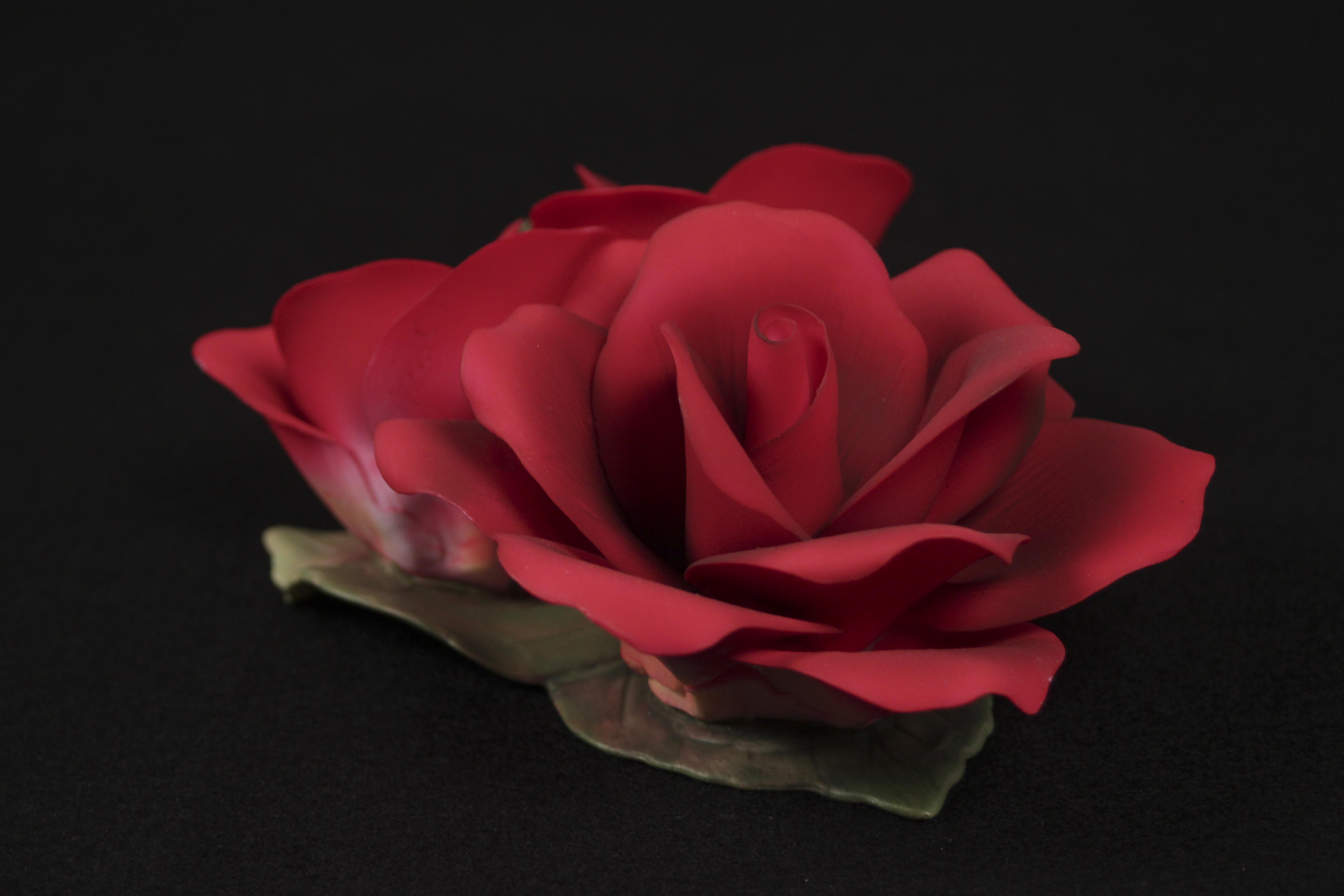 Decor Samples of the Great Porcelain Houses of Europe