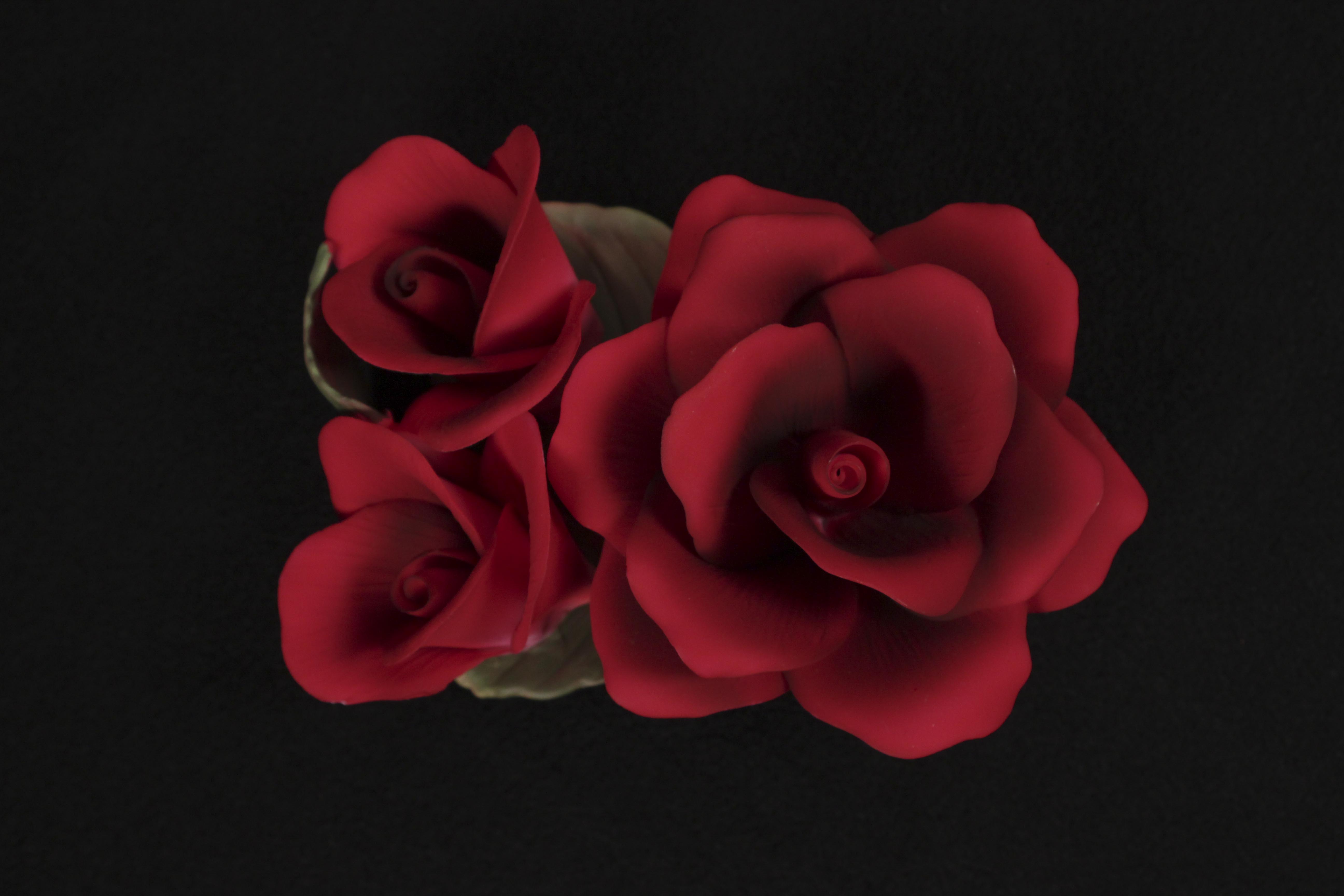 Decor Samples of the Great Porcelain Houses of Europe