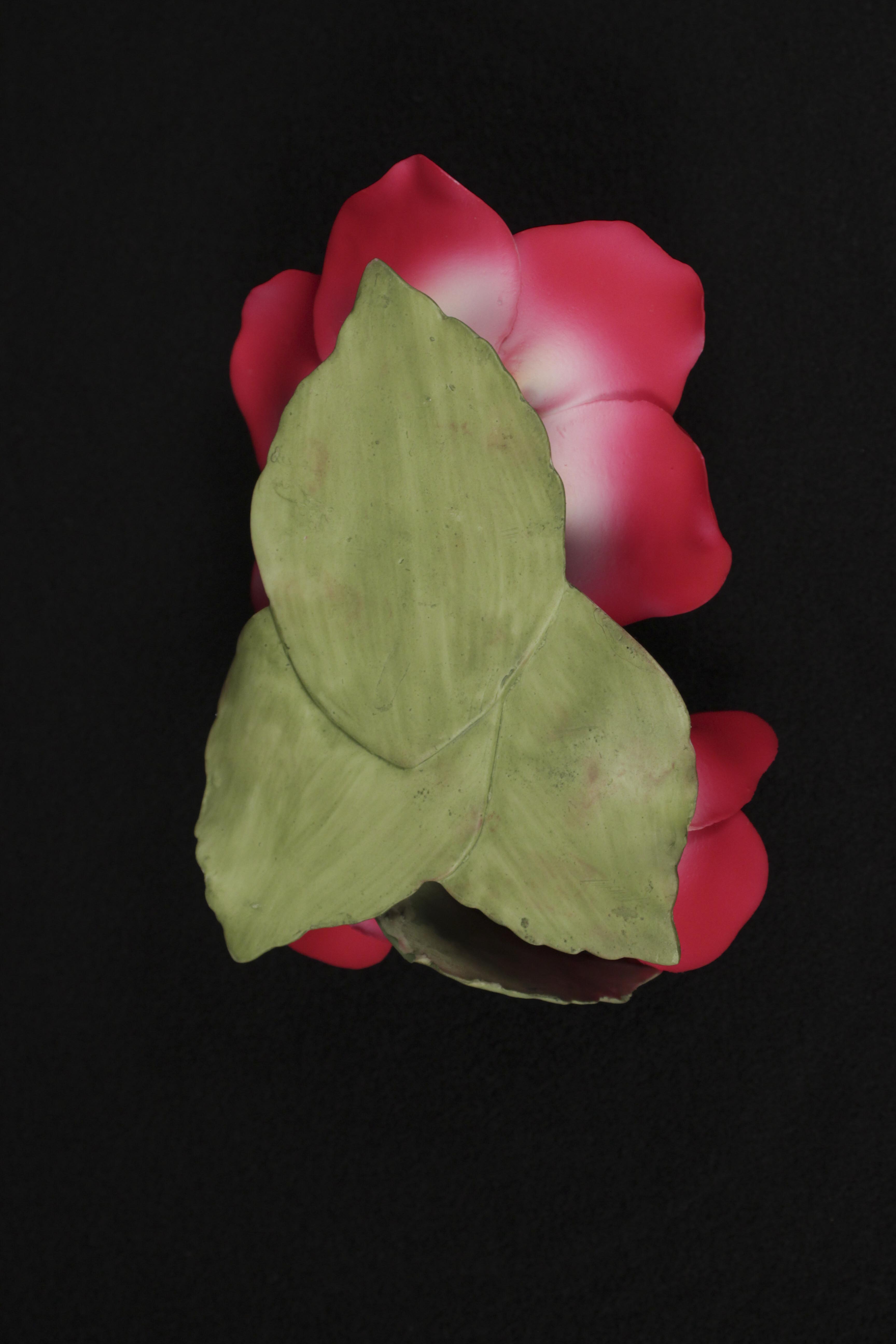 Decor Samples of the Great Porcelain Houses of Europe