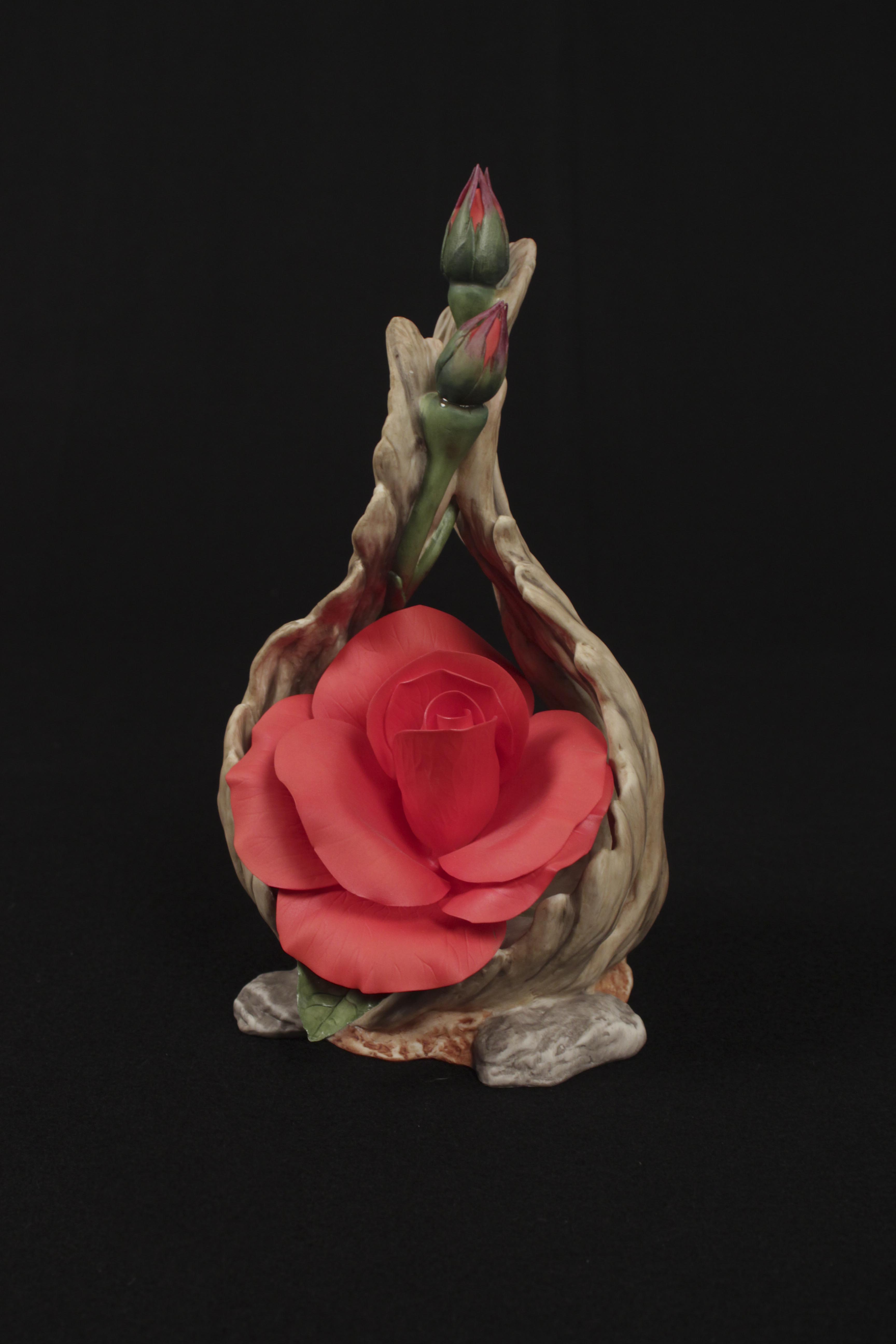 Decor Samples of the Great Porcelain Houses of Europe