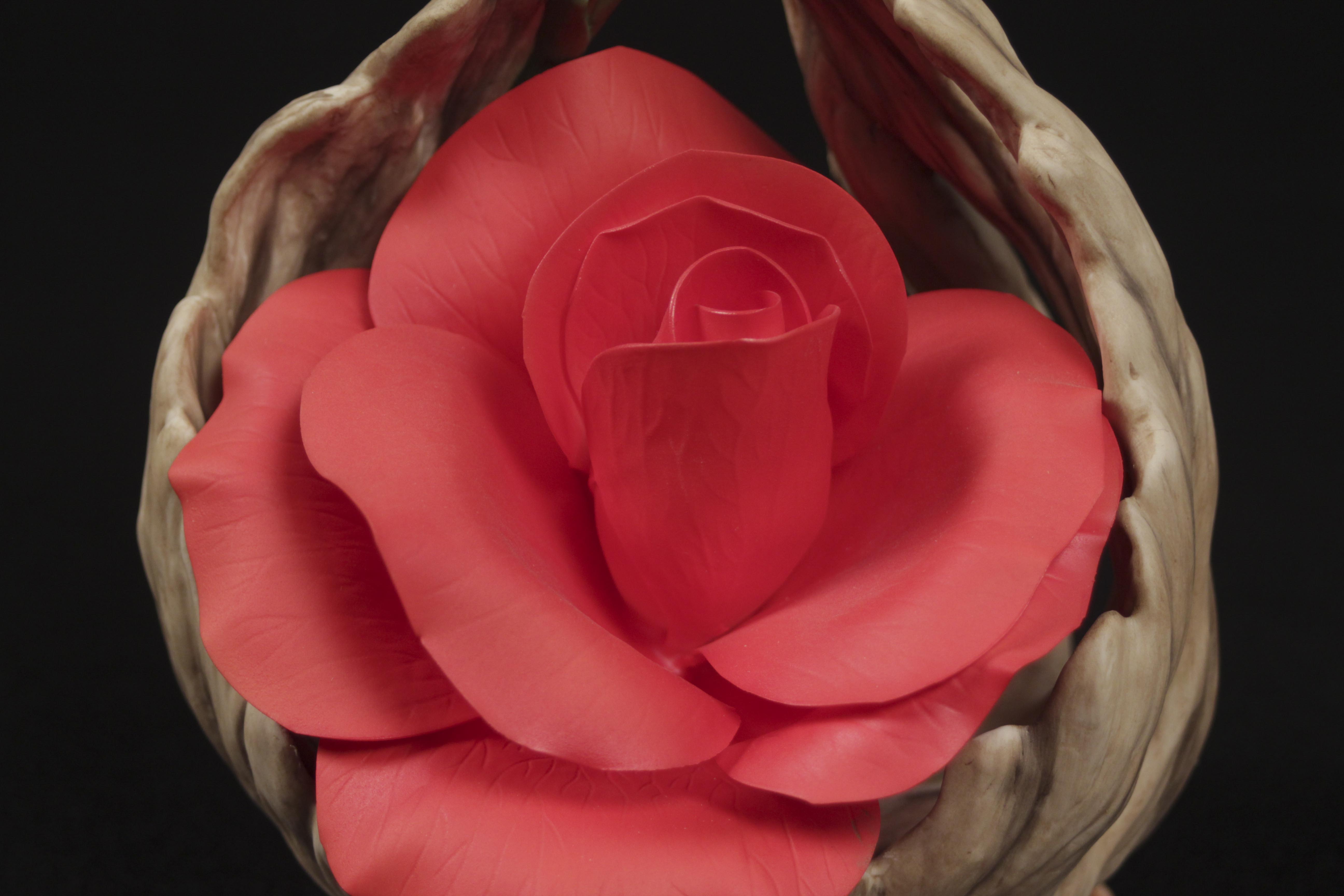 Decor Samples of the Great Porcelain Houses of Europe