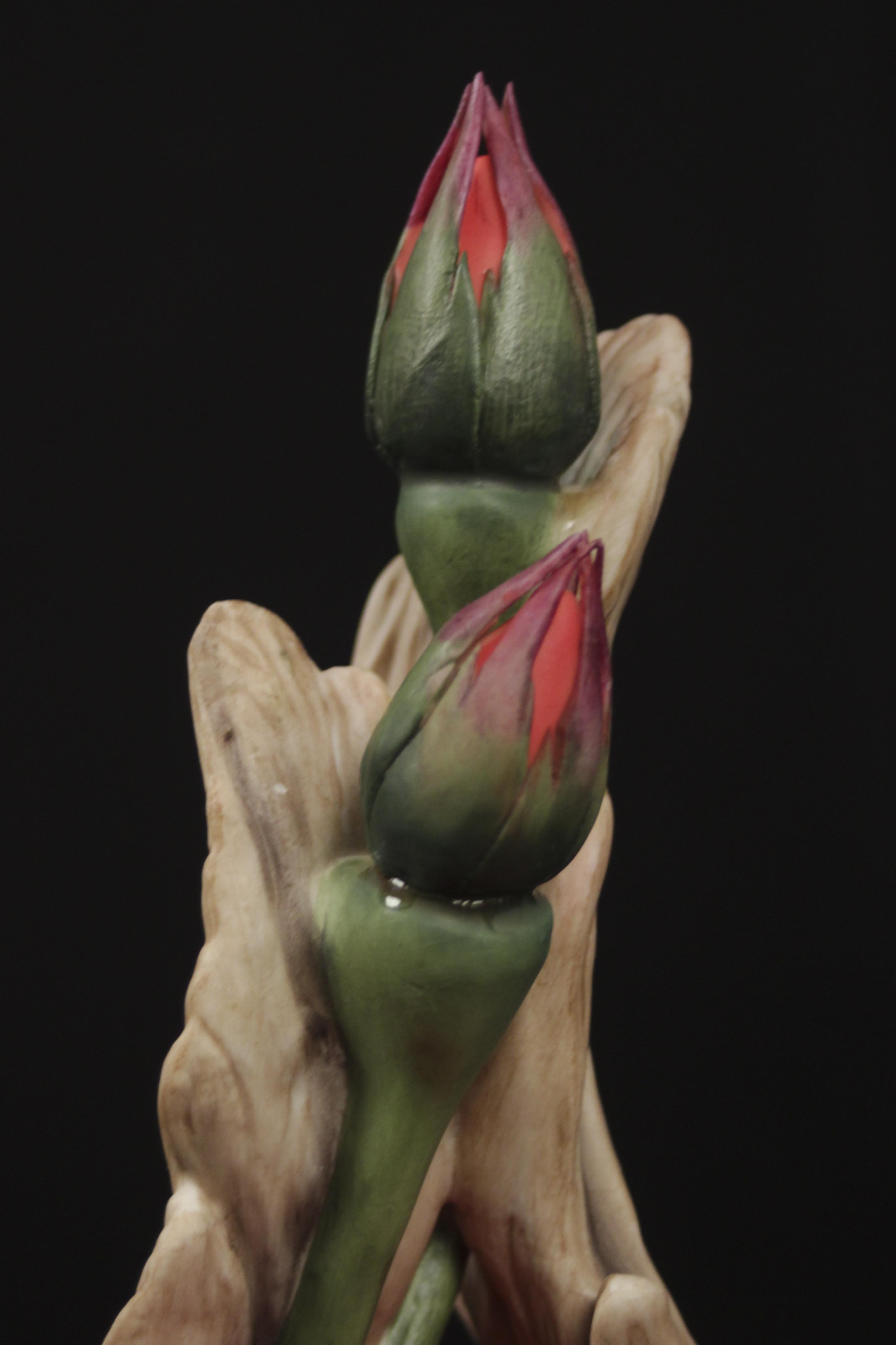 Decor Samples of the Great Porcelain Houses of Europe