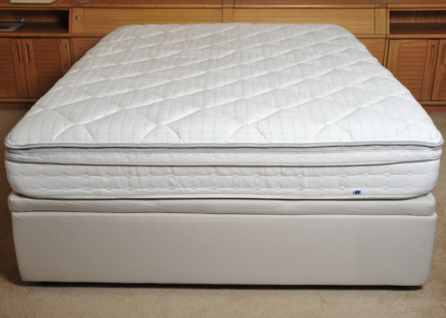 Sleep Number Flex Fit Base and Mattress