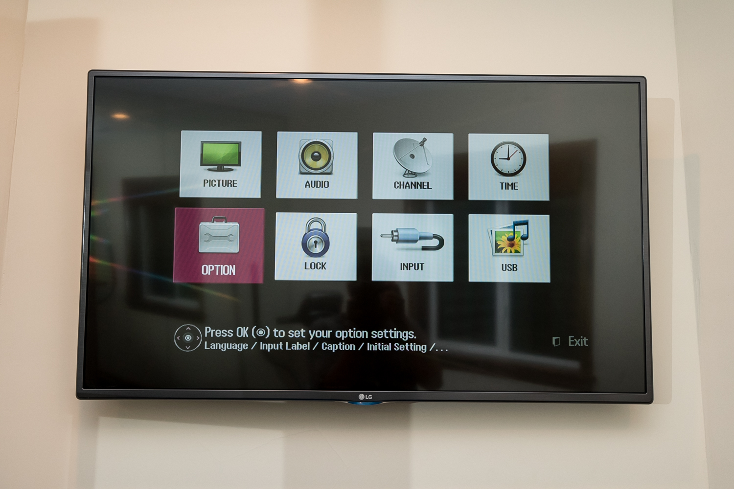 LG 41" Flatscreen Television