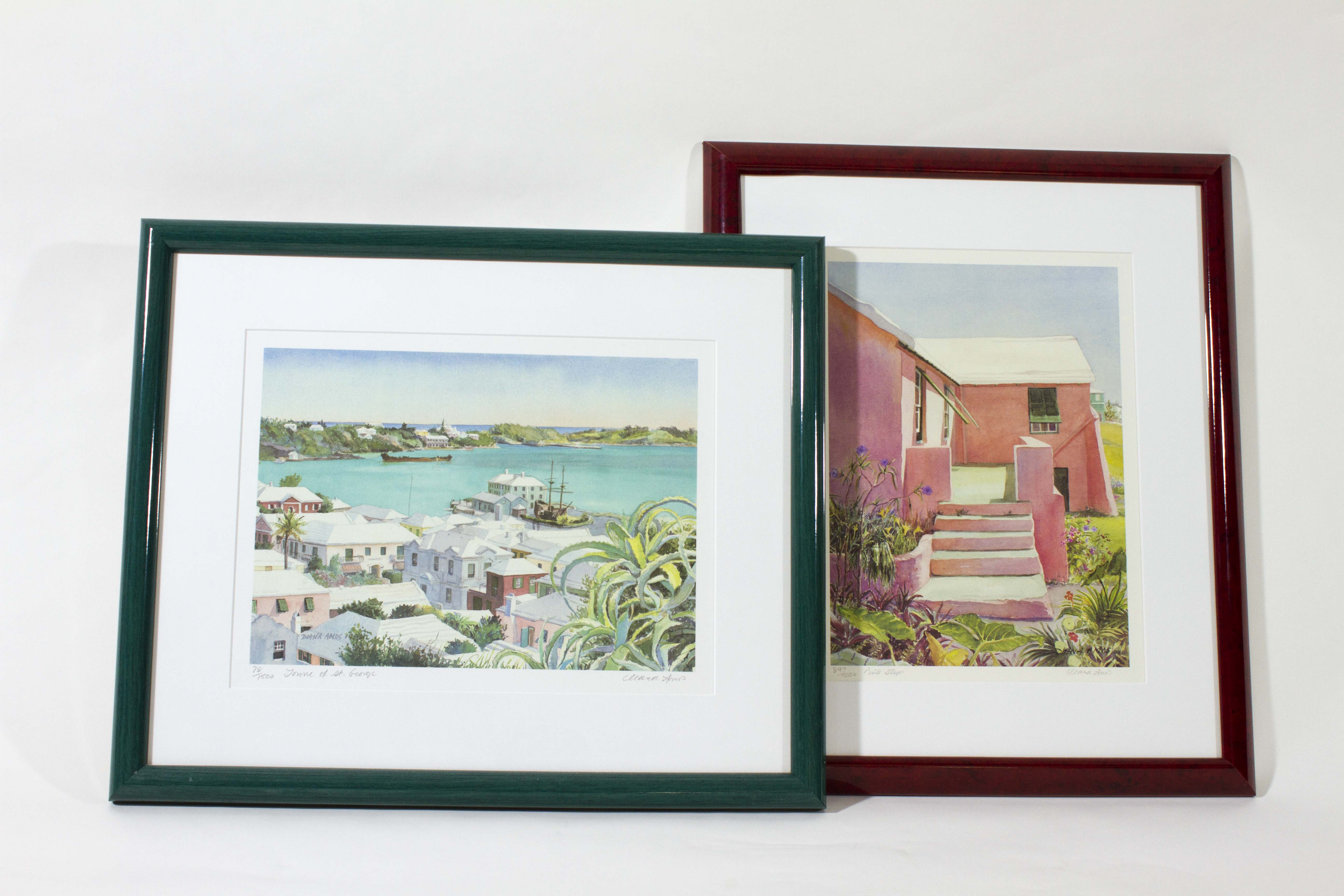 Diana Amos Bermuda Prints Signed/Numbered