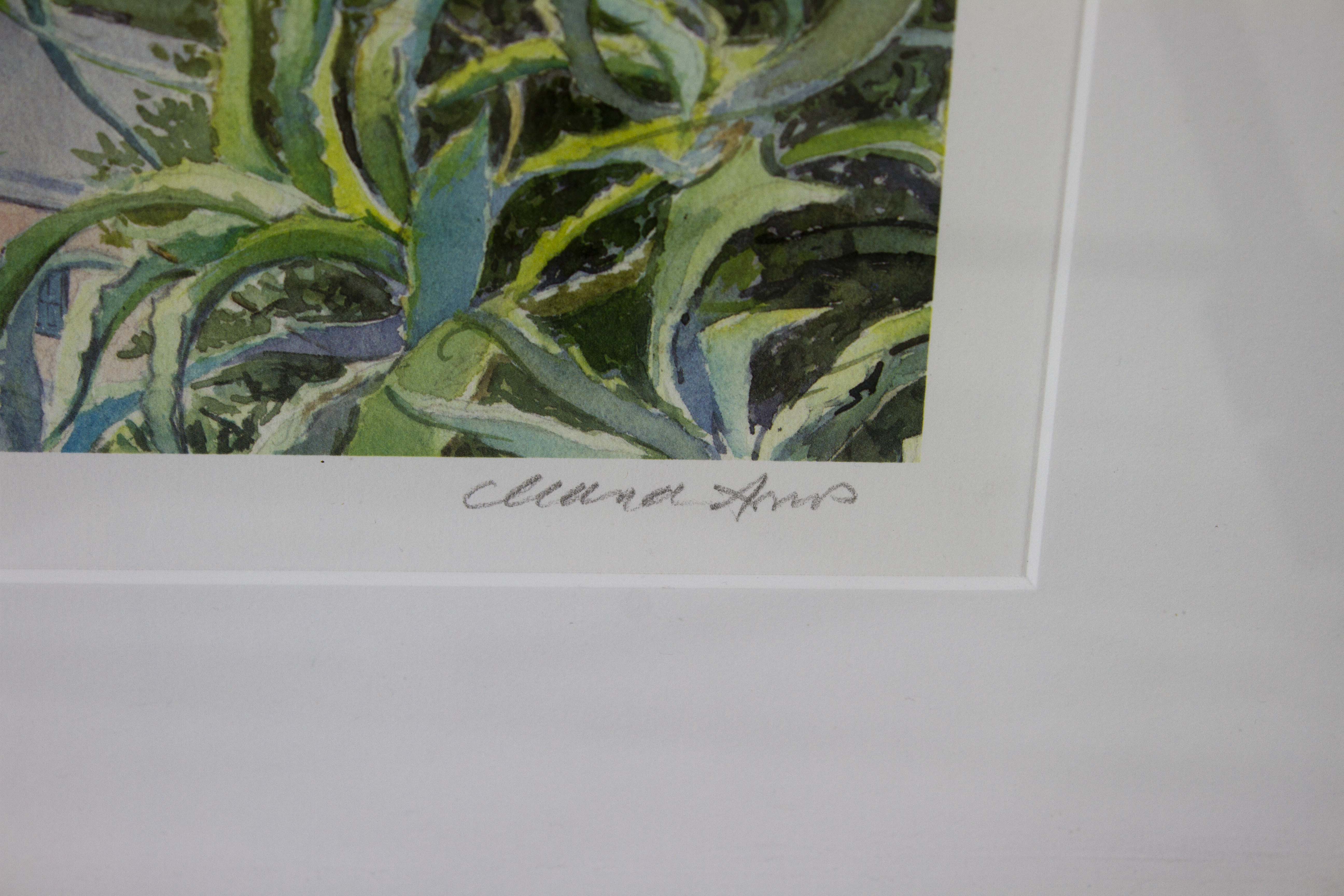 Diana Amos Bermuda Prints Signed/Numbered