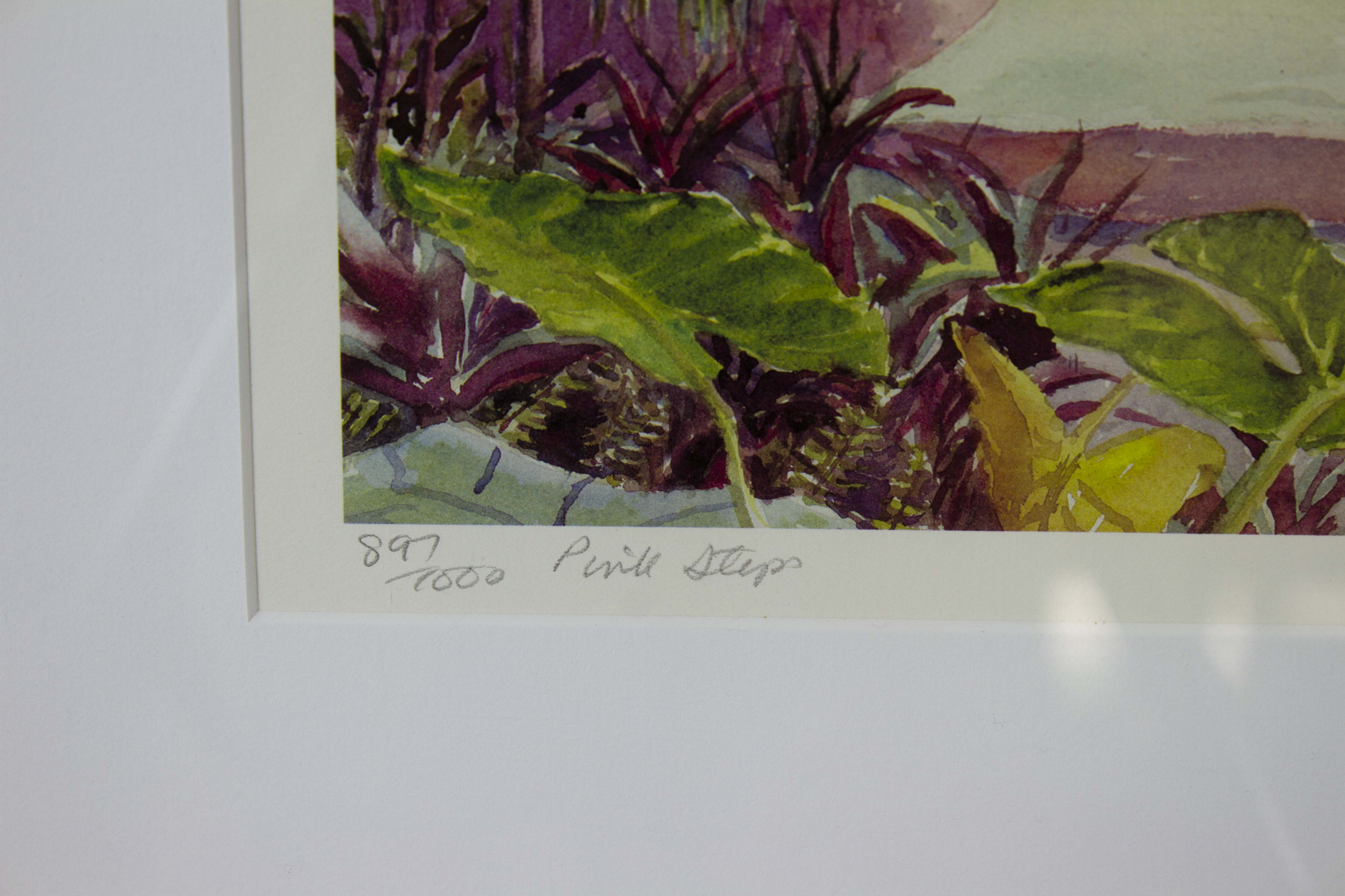 Diana Amos Bermuda Prints Signed/Numbered