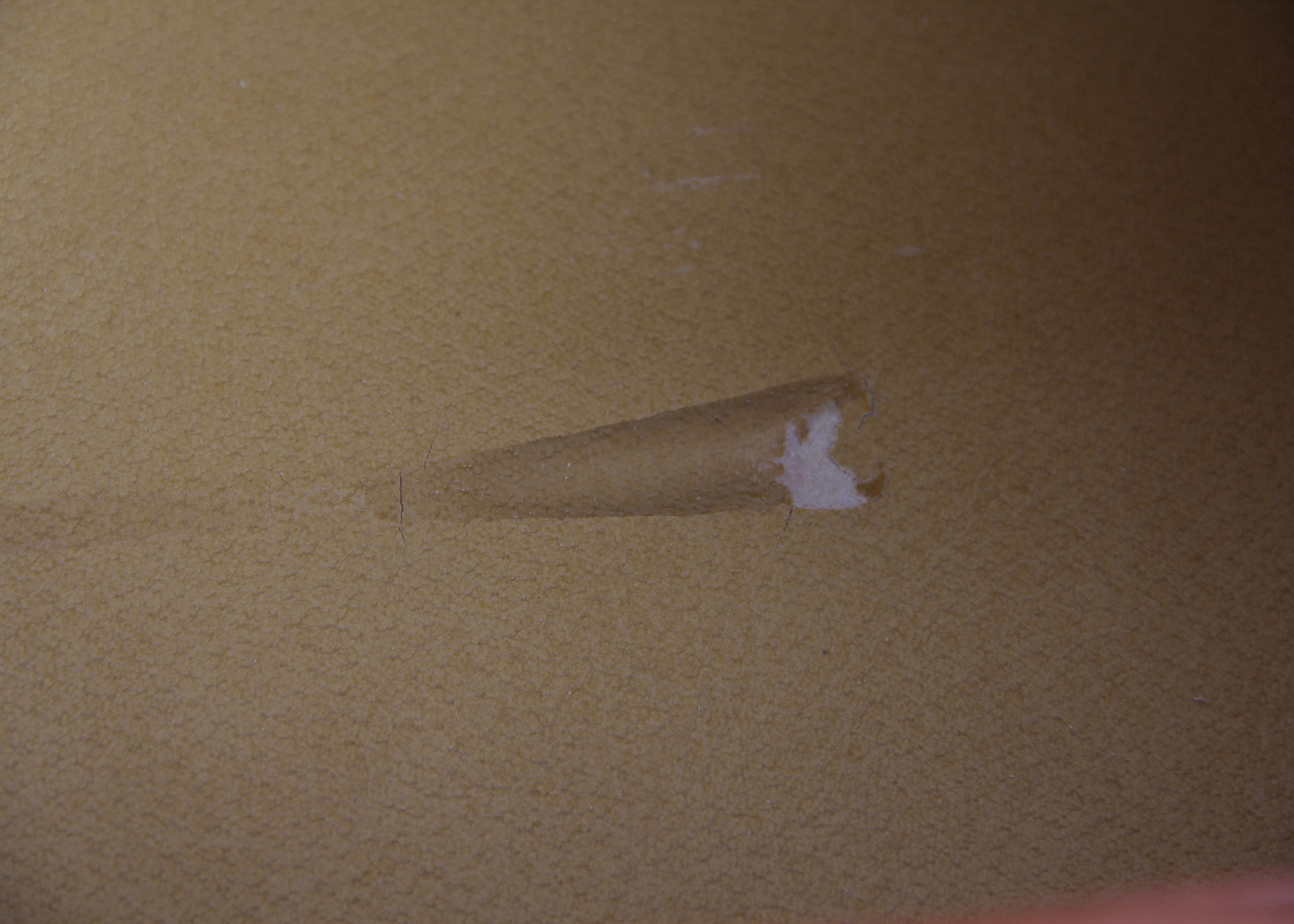 Custom Testarossa Ferrari Luggage