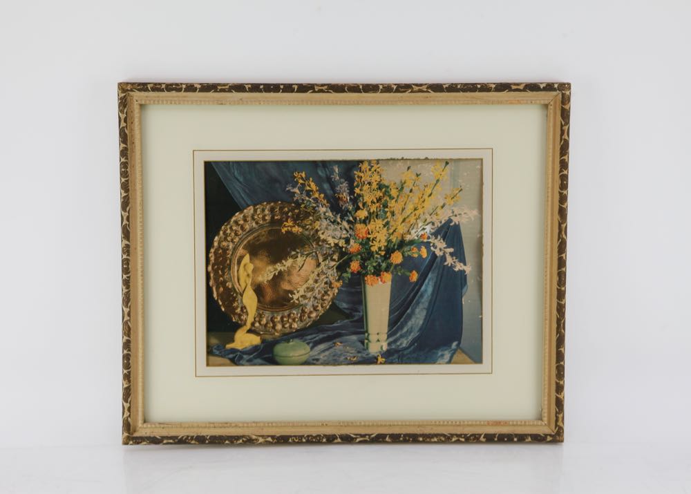 Vintage Forsythia Still Life