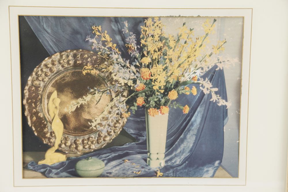 Vintage Forsythia Still Life