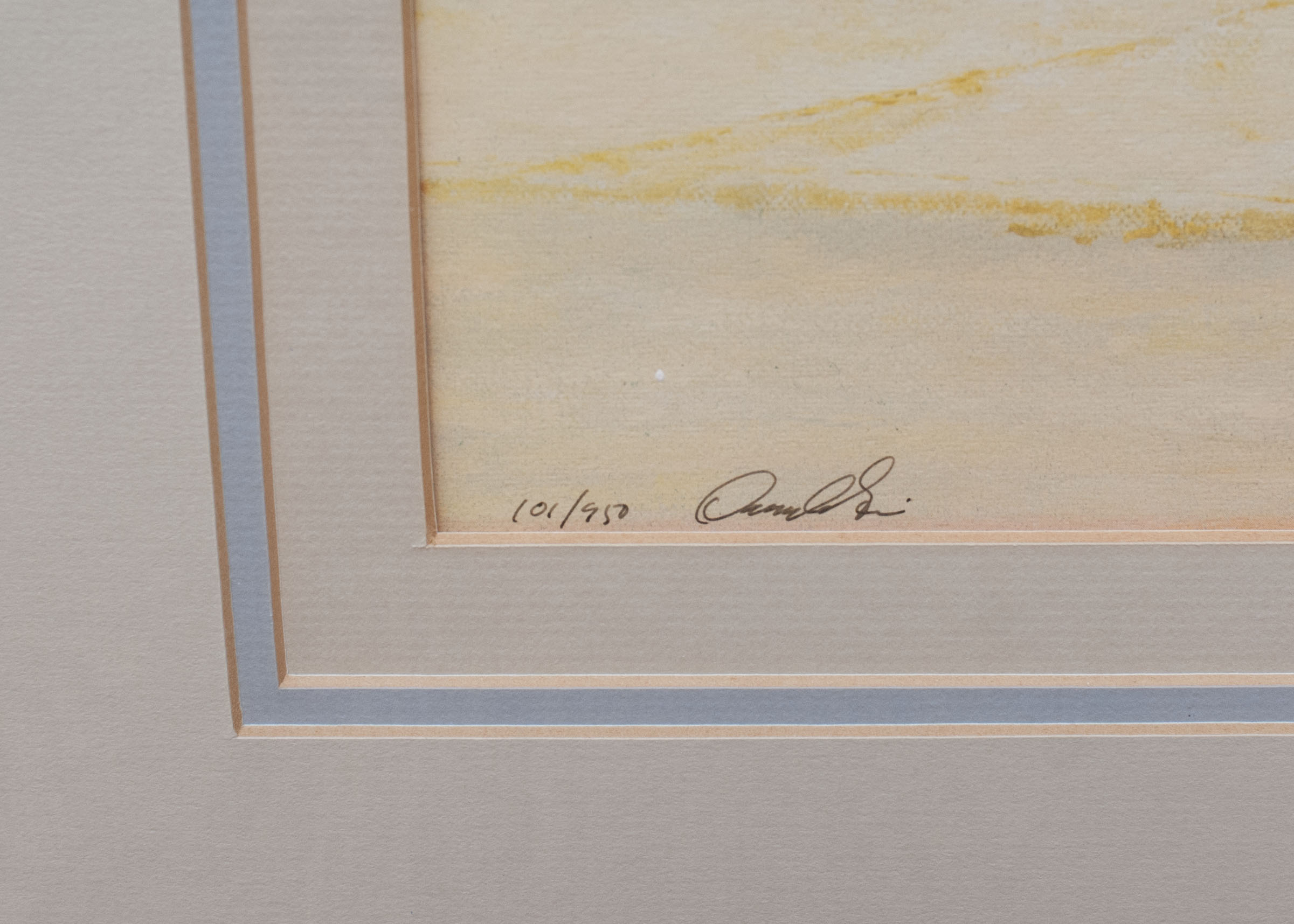 "Palm Shadows" Giclee Signed by Artist Douglas Grier