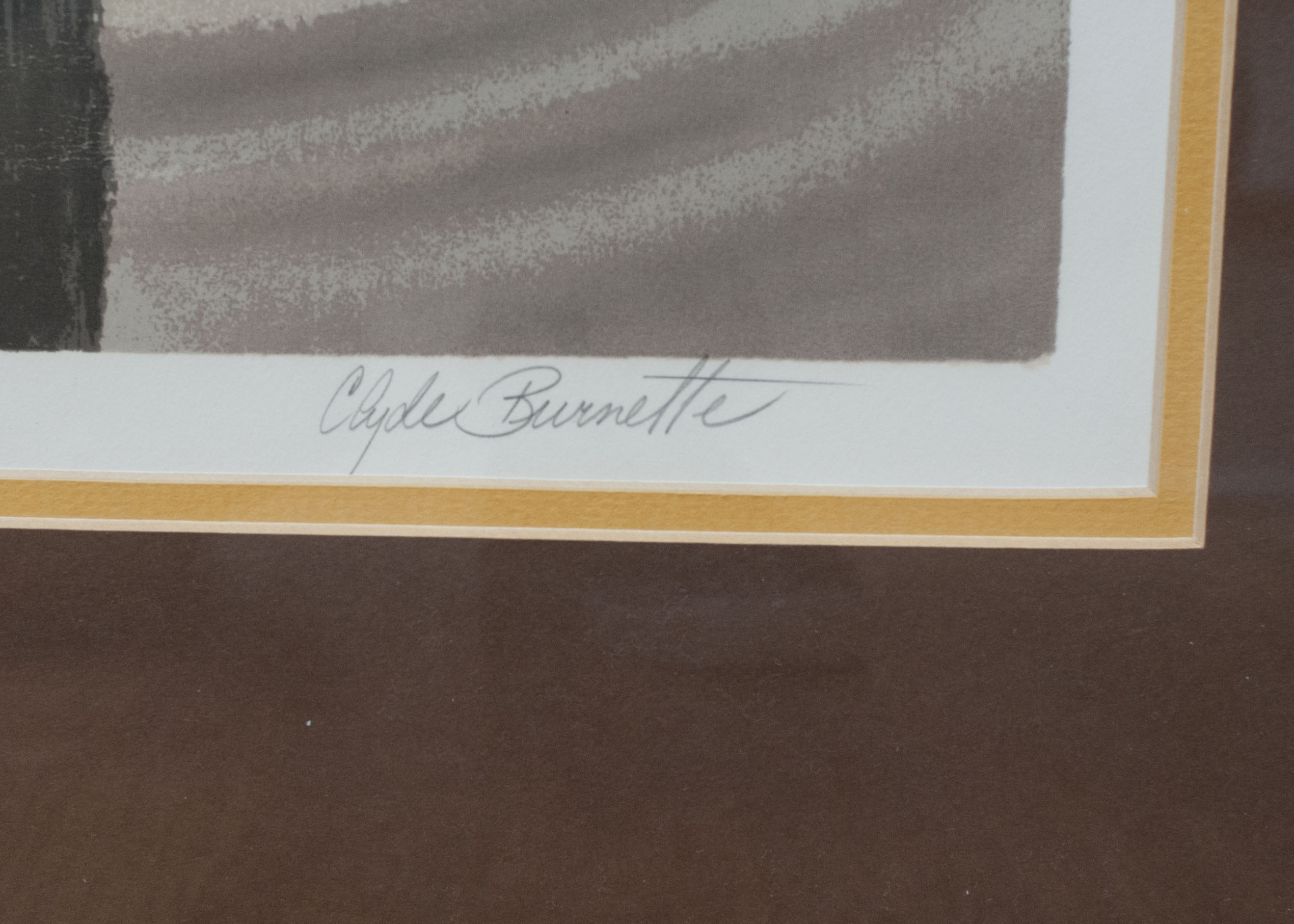 Giclee of Pelicans by Clyde Burnette