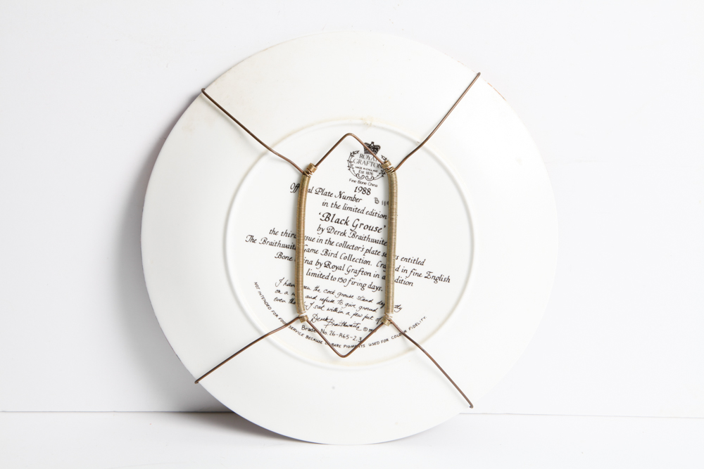 Royal Grafton Braithwaite Game Bird Collector's Plates