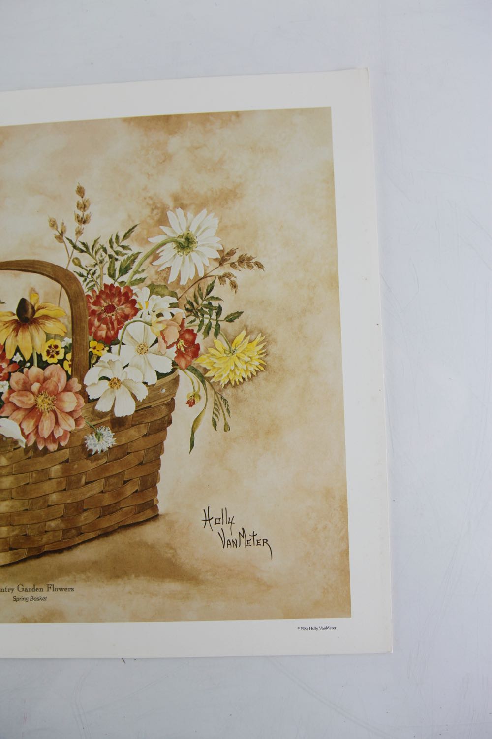 Holly Van Meter Original