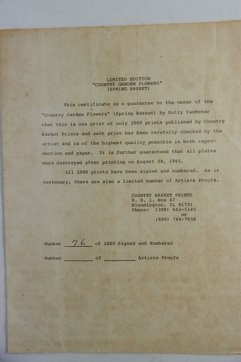 Holly Van Meter Original