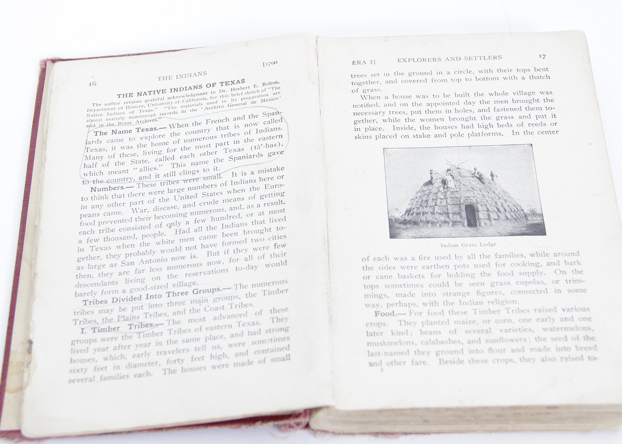 Collection of Vintage Books on The History of Texas