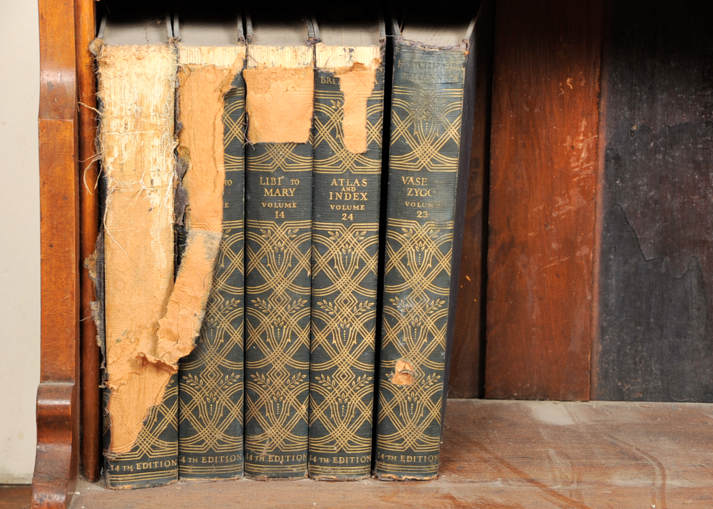 Bookshelf and Encyclopedia Britannica