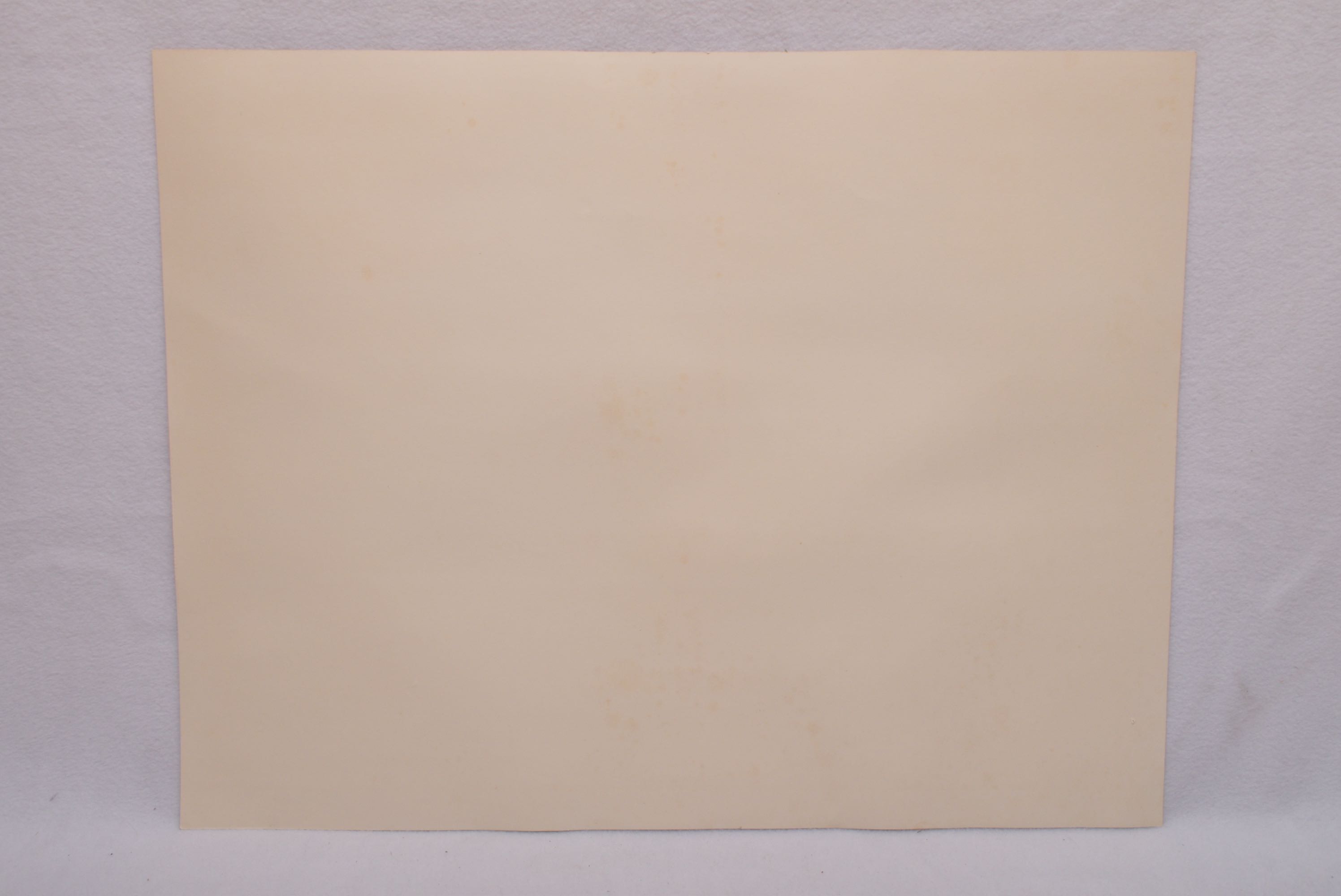 M.C. Gembecki Signed Lithograph "Gone to Ground"