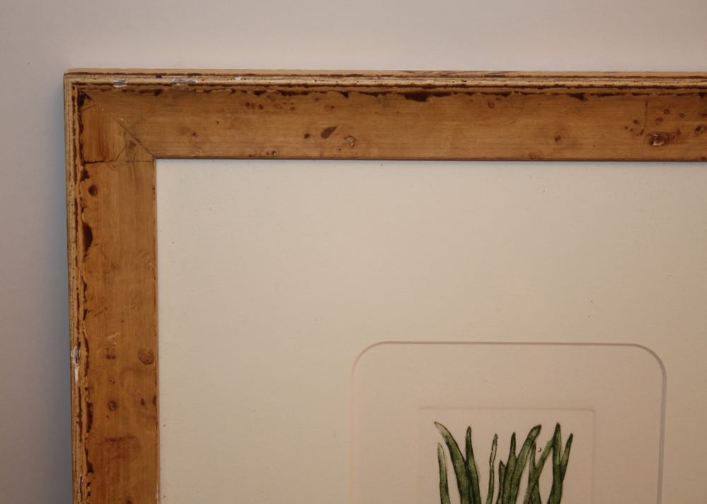 Bailey Tidwell Signed and Numbered Vegetable Prints